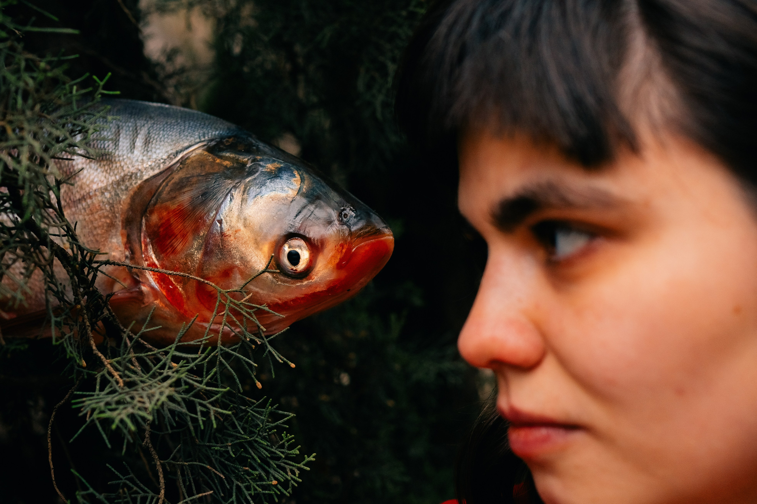 Masha. Мария Шер. Профессиональный фотограф в городе Порту, Португалия