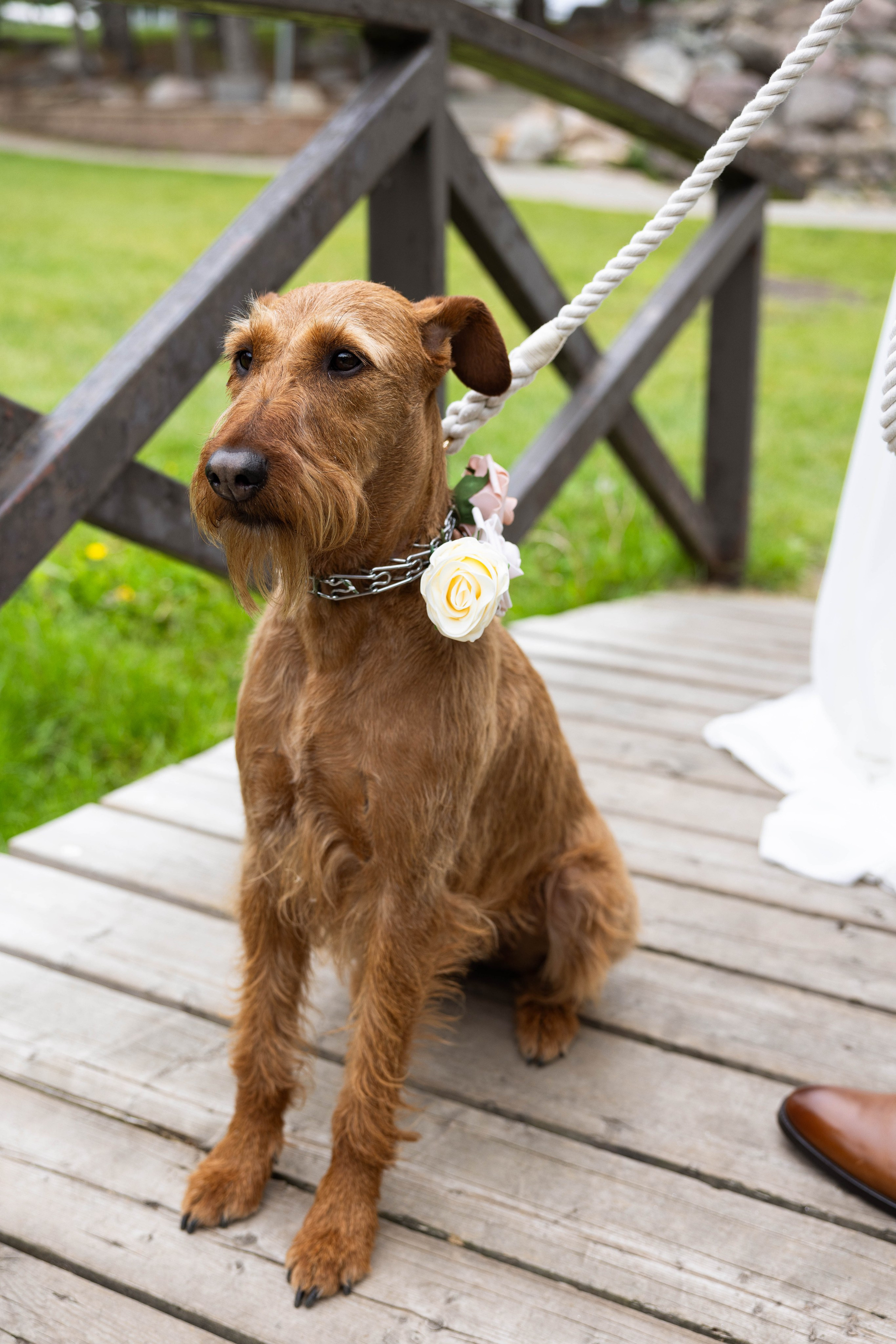 C&t. Wedding photography and videography in Regina, Saskatchewan