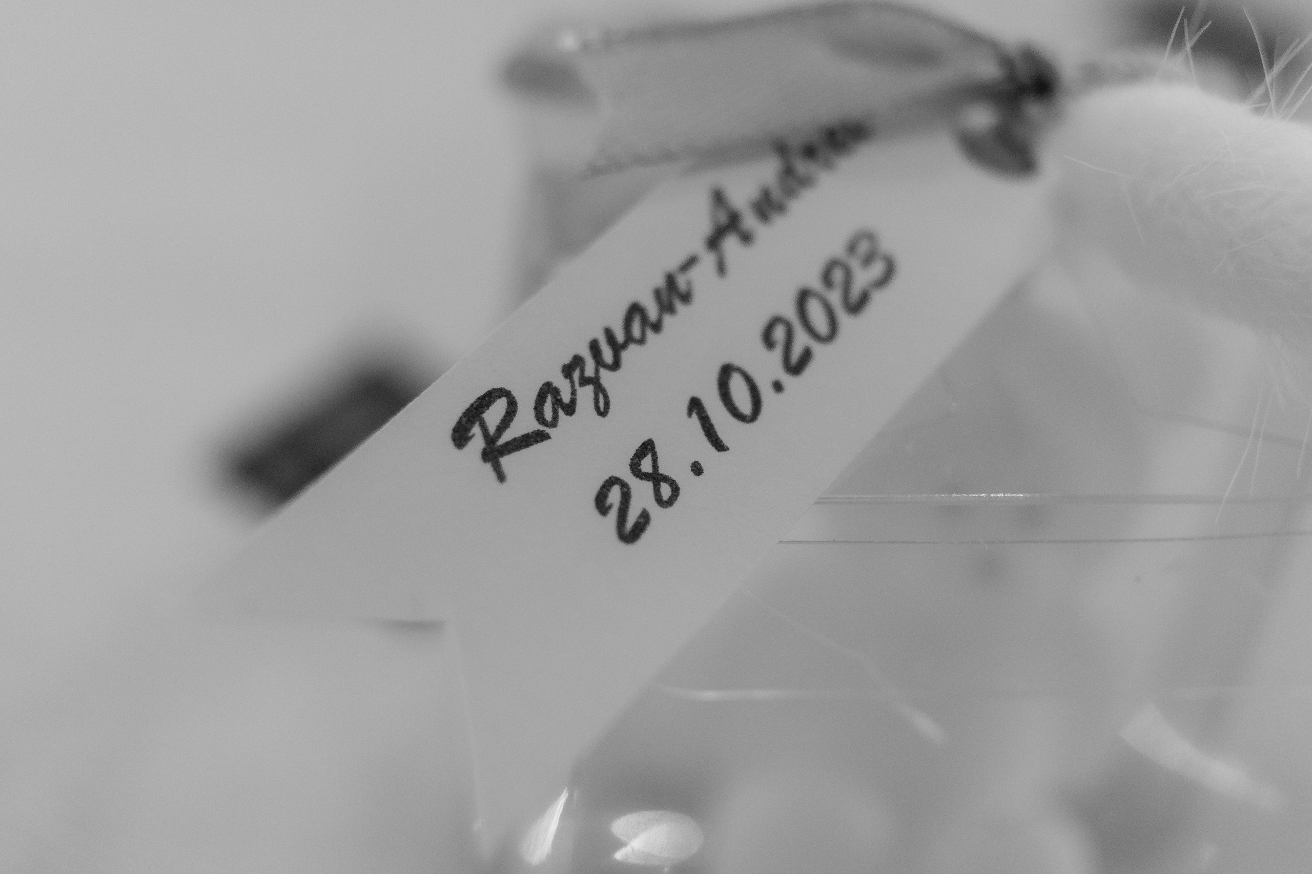 Razvan. Fotograf si videograf — evenimente si studio