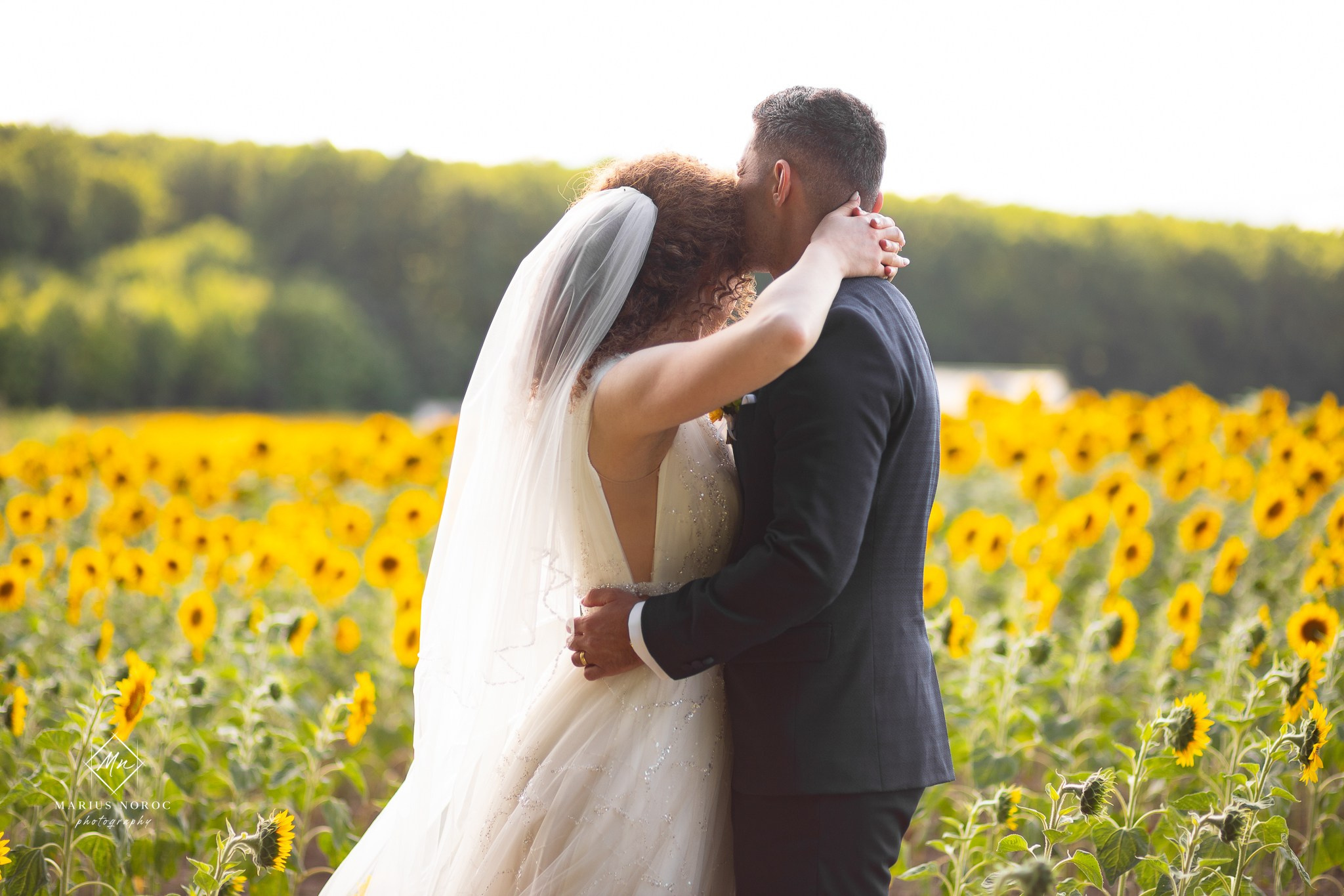 Madalina & Eduard | Codrii Pascanilor