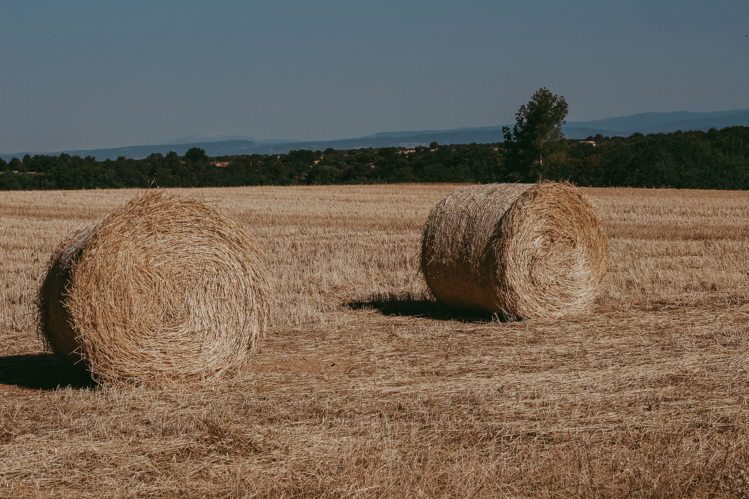 People. Photographe à la Seyne sur Mer, Var