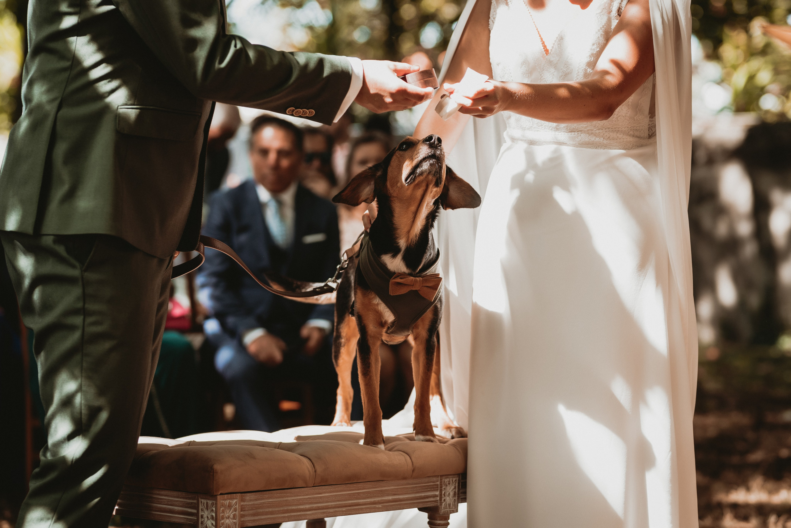 São & Luís. Photographe de mariage et de famille à Braga — Alexandra Mieres Photography