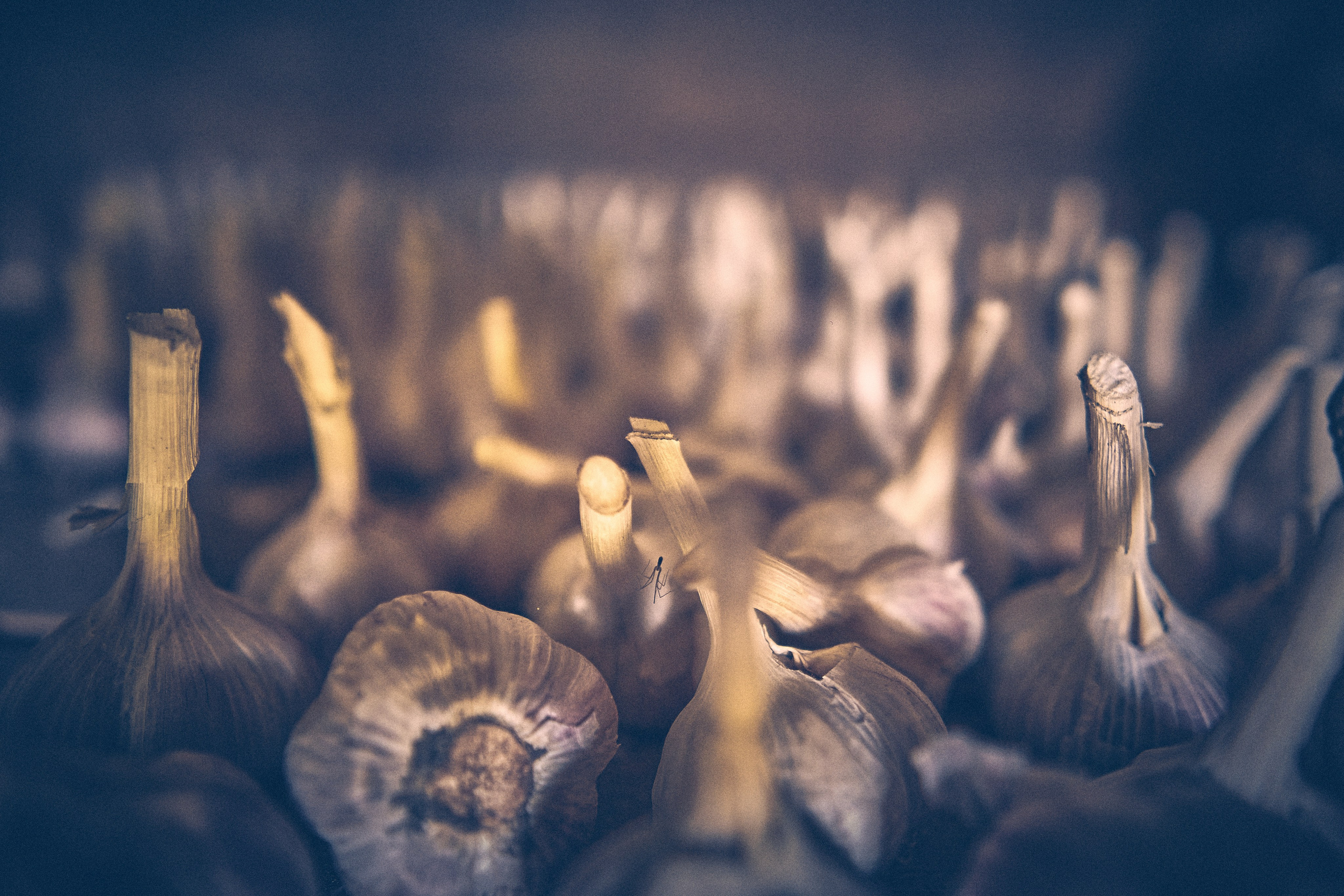 Andriej Szypiłow - Fotograf i Wideograf - Reportaż artystyczny - wizyta rodzinna in the middle of nowhere. Zabita dechami wieś na granicy Białorusi i Polski.