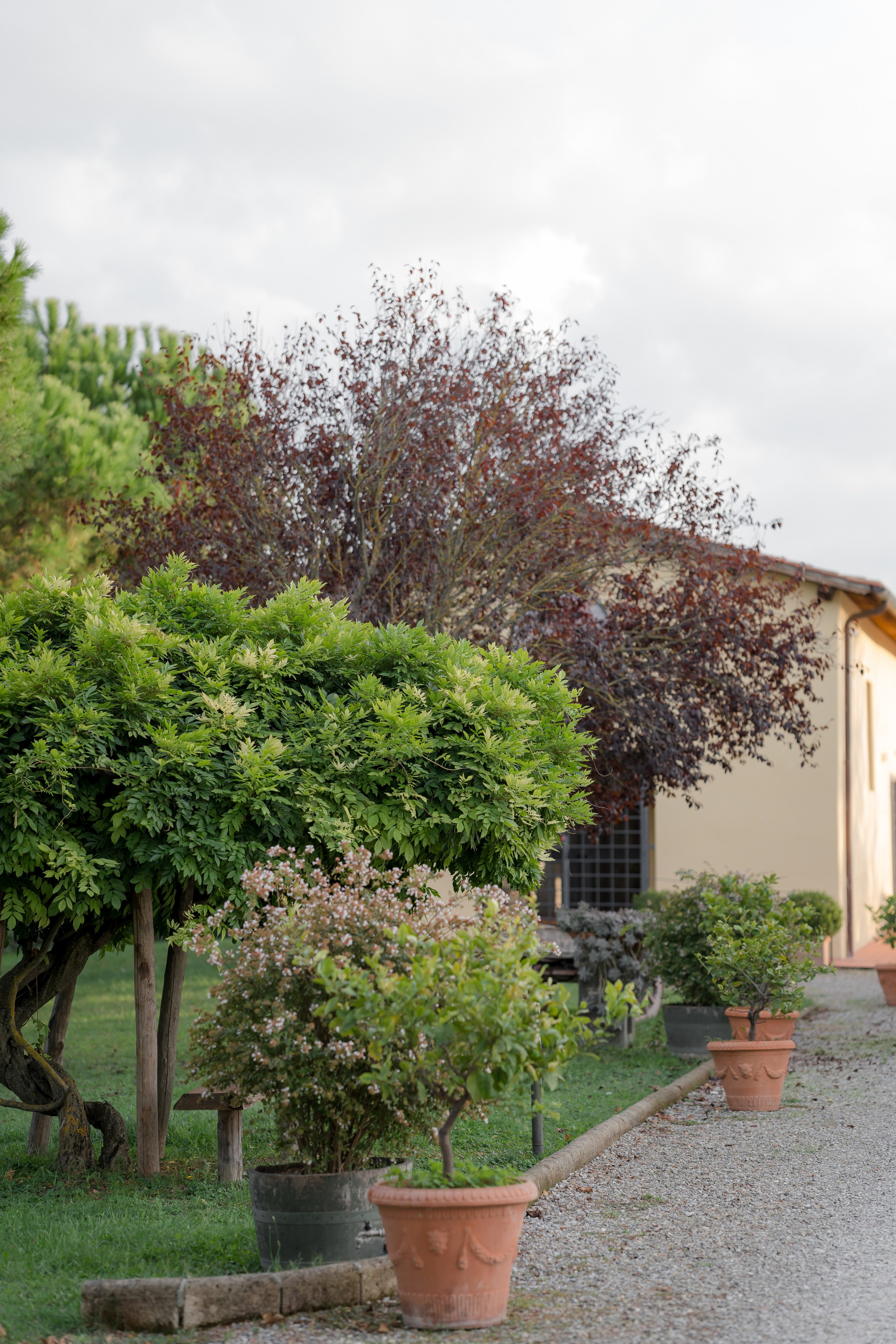 Dom&Ally. Wedding photographer Italy