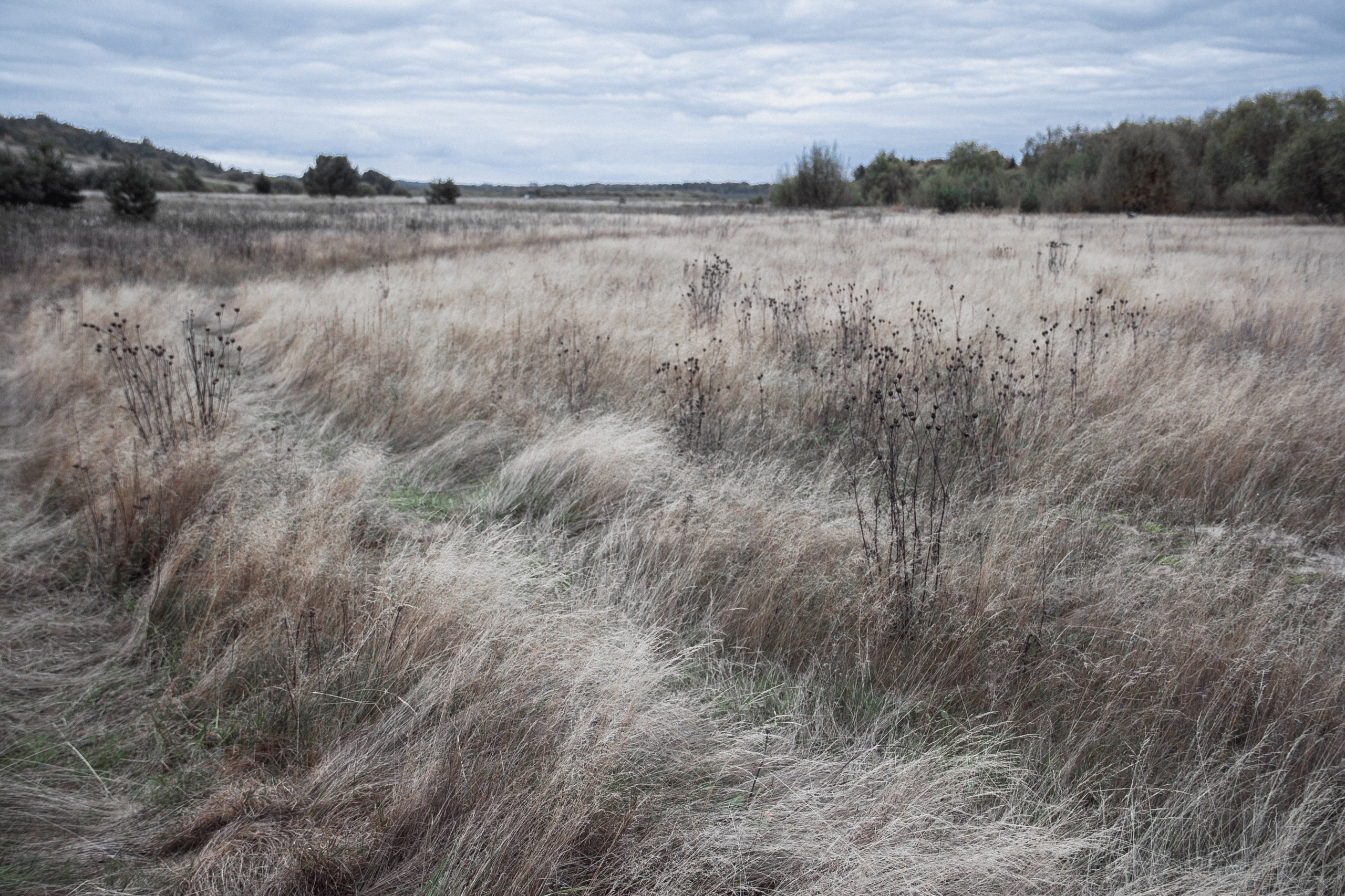 Заброшенная Россия: Мантурово. Фотограф в Германии — Мария Чистякова