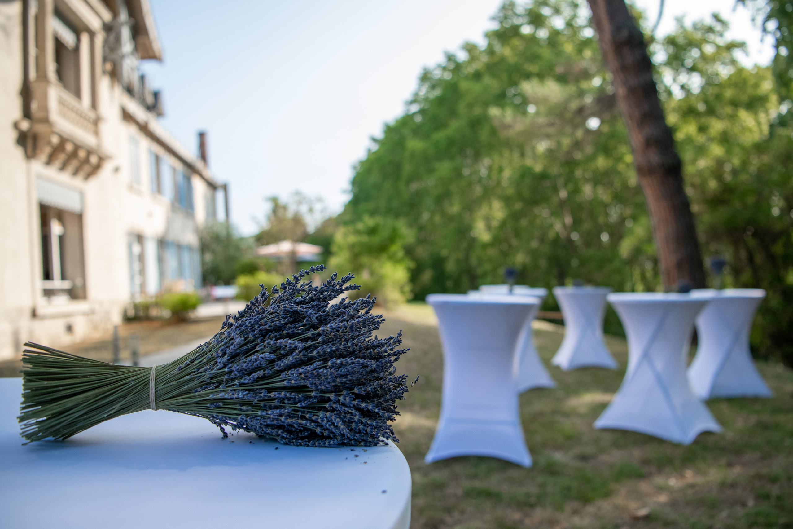 Portfolio. Photographe Mykhaylyk Vladyslav