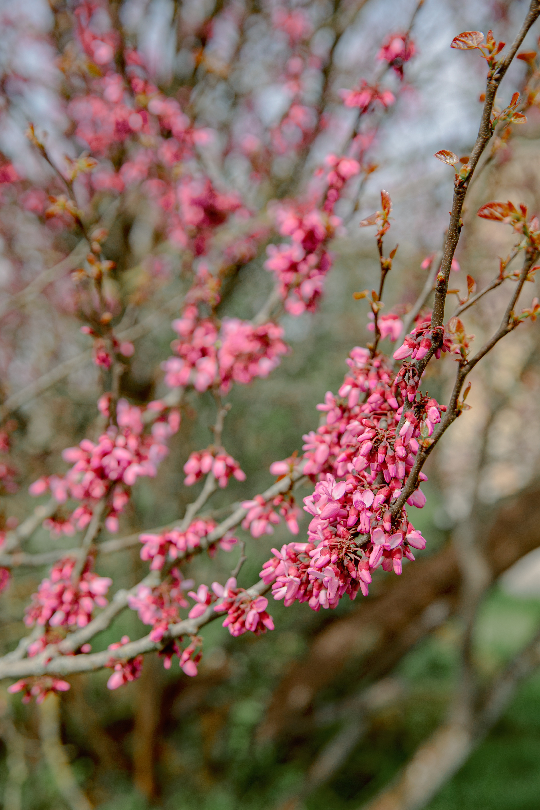 Chateau de Vallery France Cristian&Calina Wedding 2023. Iurkovski PHOTOGRAPHY in Europe. Luxury destination weddings and events