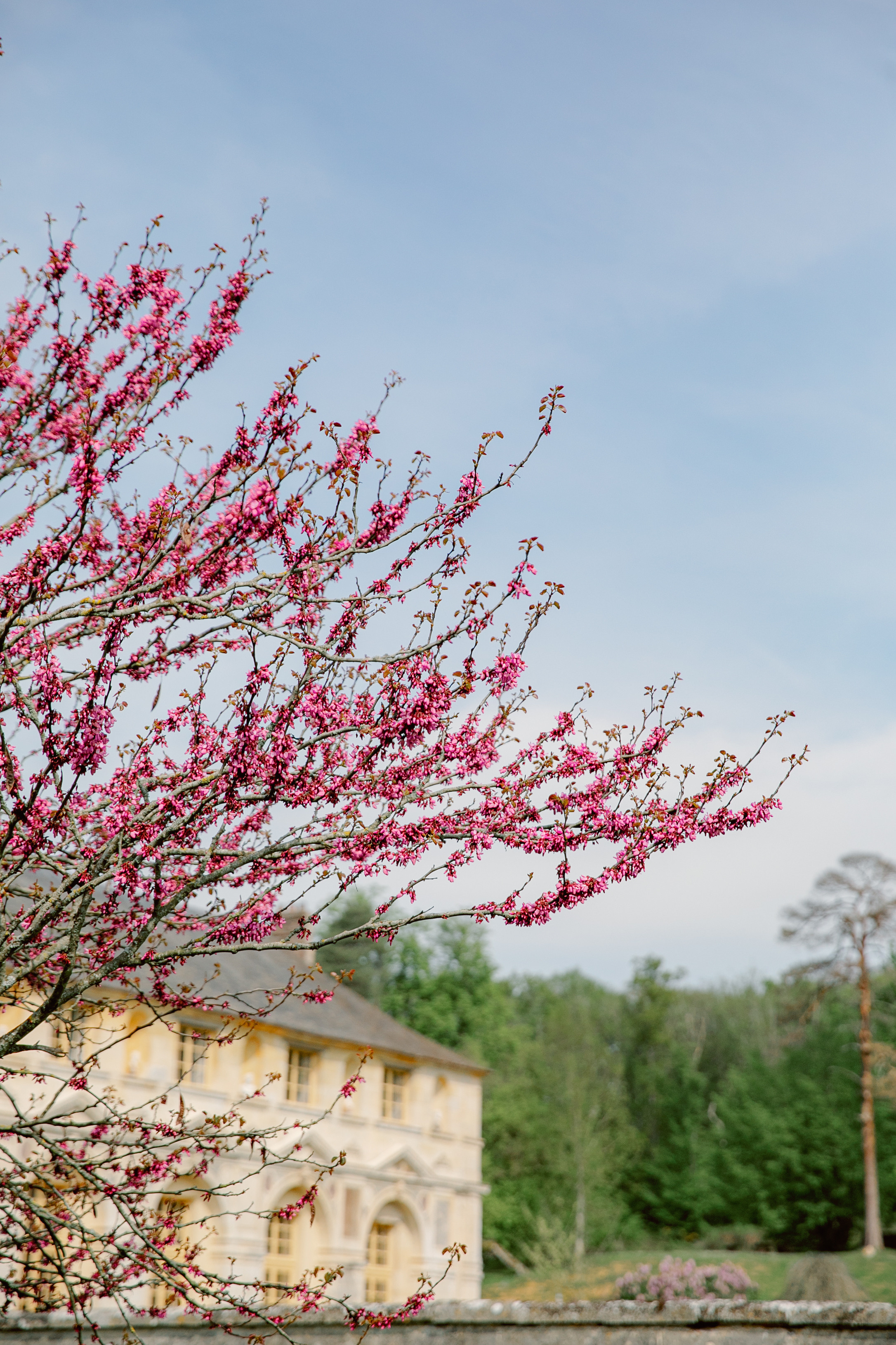 Chateau de Vallery France Cristian&Calina Wedding 2023. Iurkovski PHOTOGRAPHY in Europe. Luxury destination weddings and events
