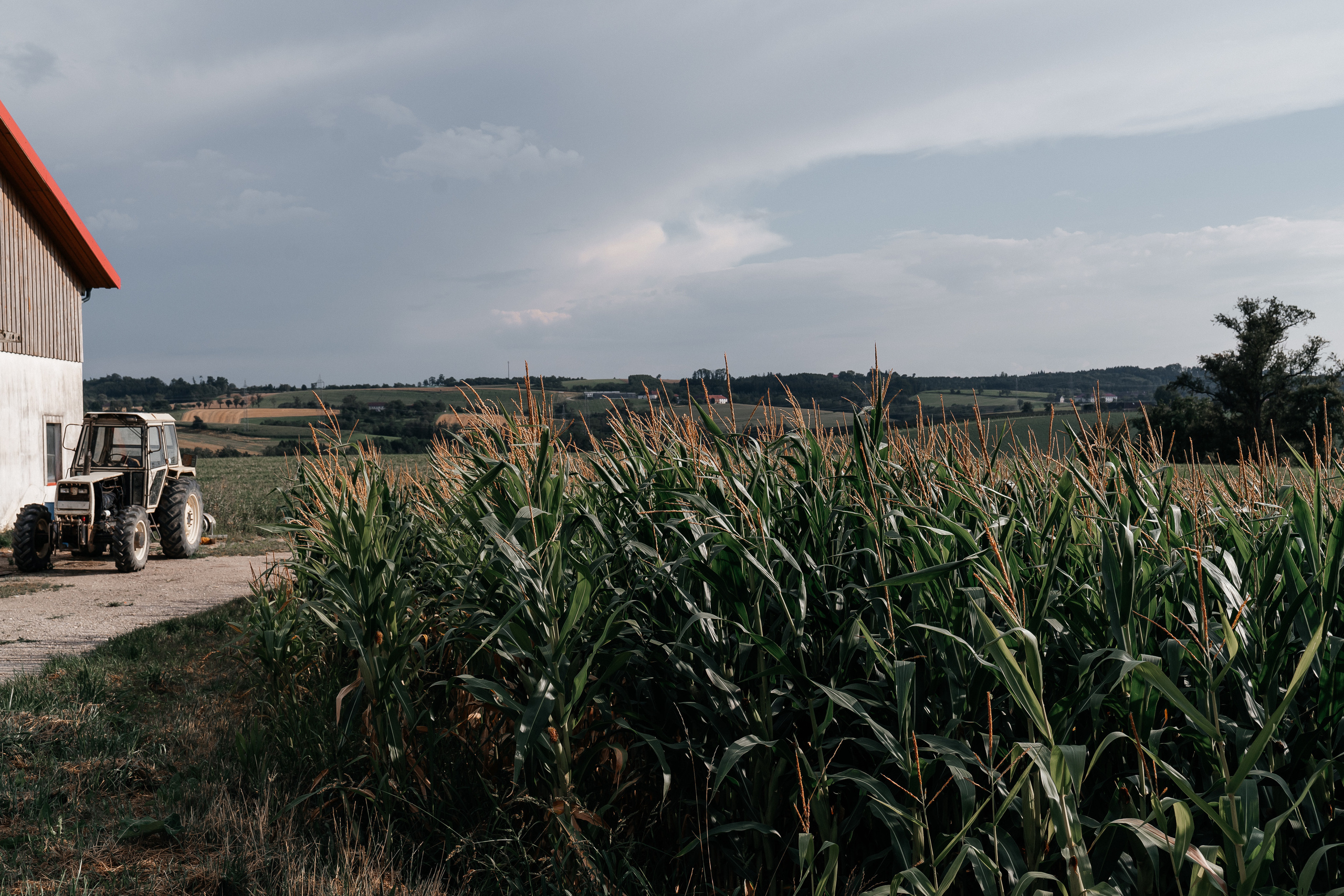 Tina und Dominik. Hallo, ich bin Nadya - Fotografin aus Linz, Oberösterreich