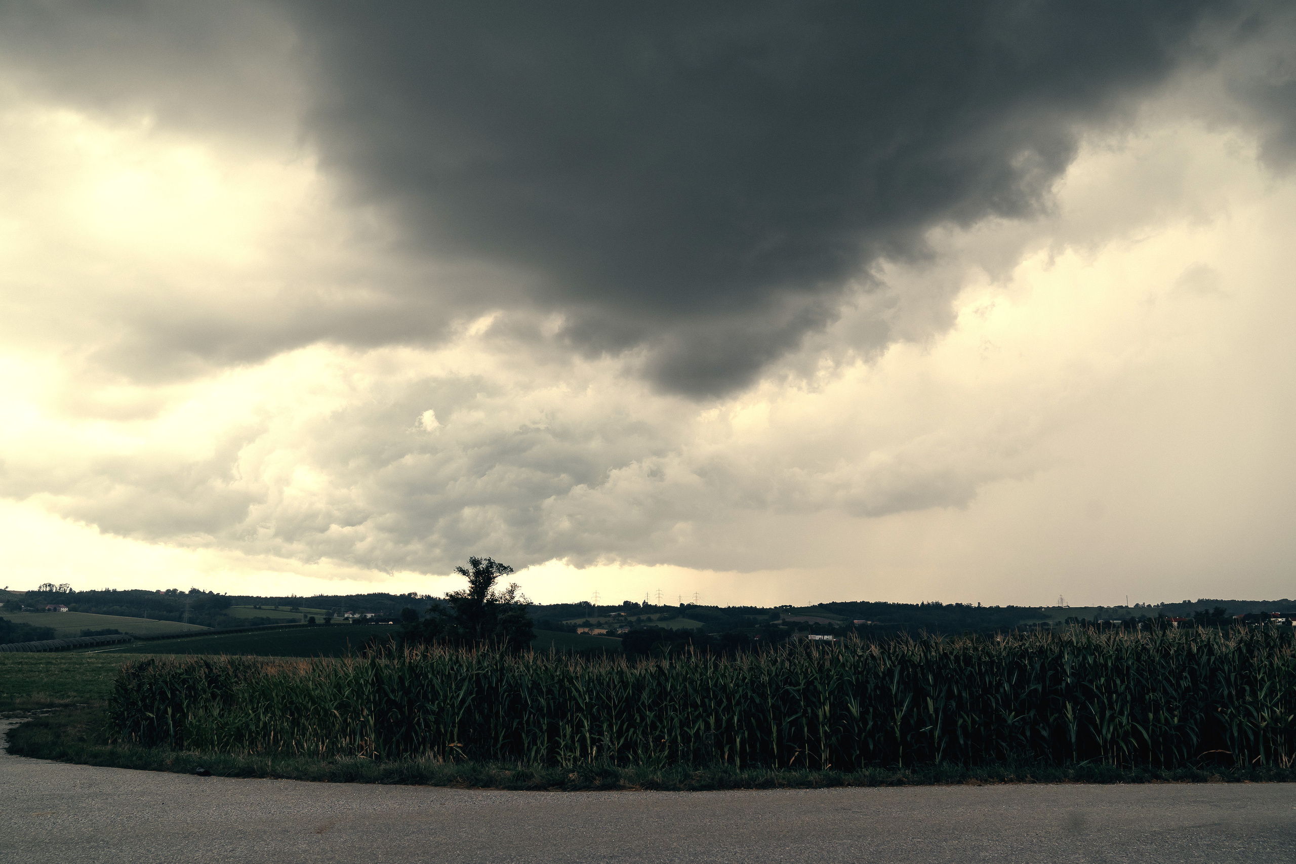 Tina und Dominik. Hallo, ich bin Nadya - Fotografin aus Linz, Oberösterreich