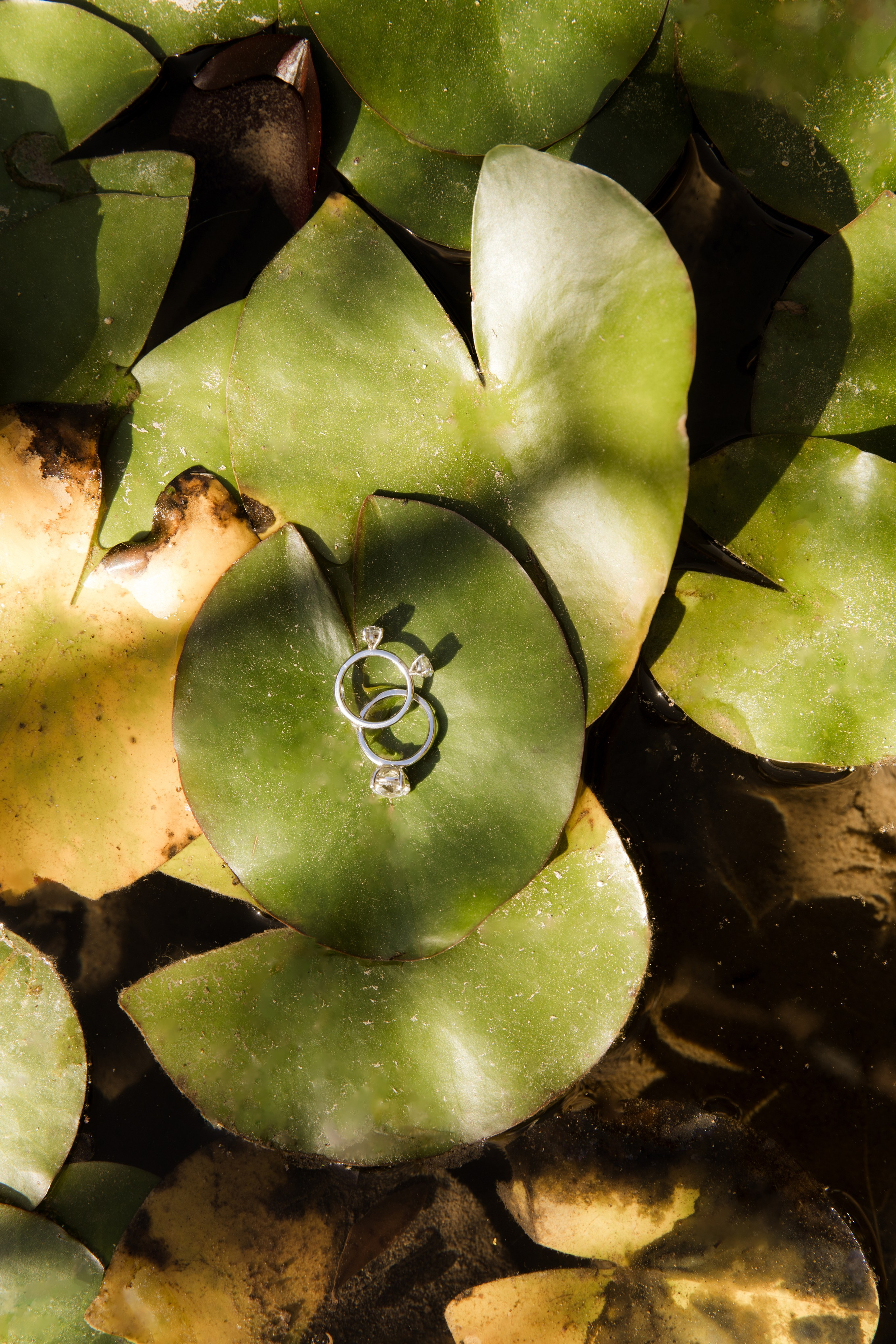 PJ & Yonna. Hotel Castell d’Emporda. Paola wedding photographer / videographer in Barcelona