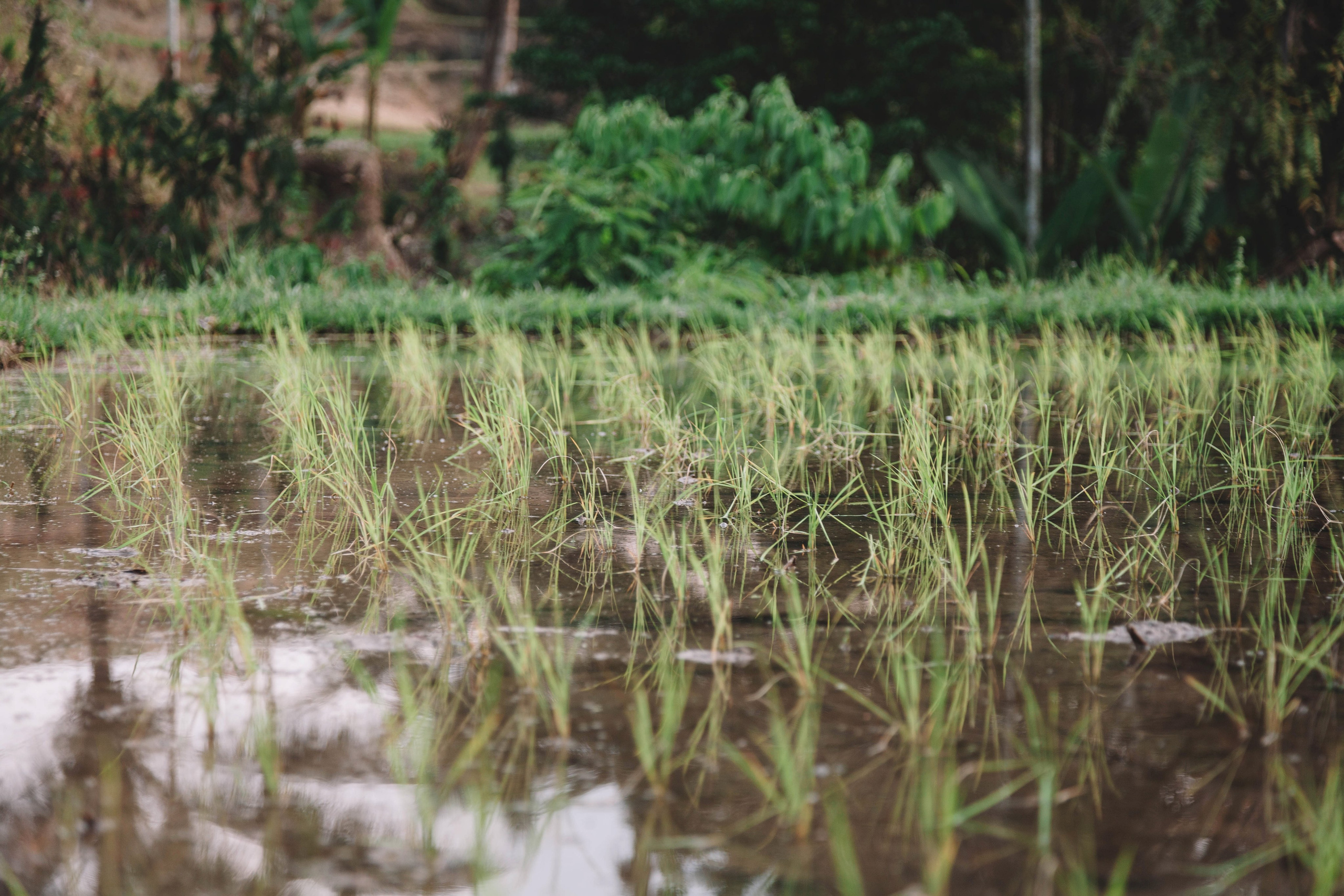 Landscapes. Wedding photographer Lyubov Sun Reutlingen