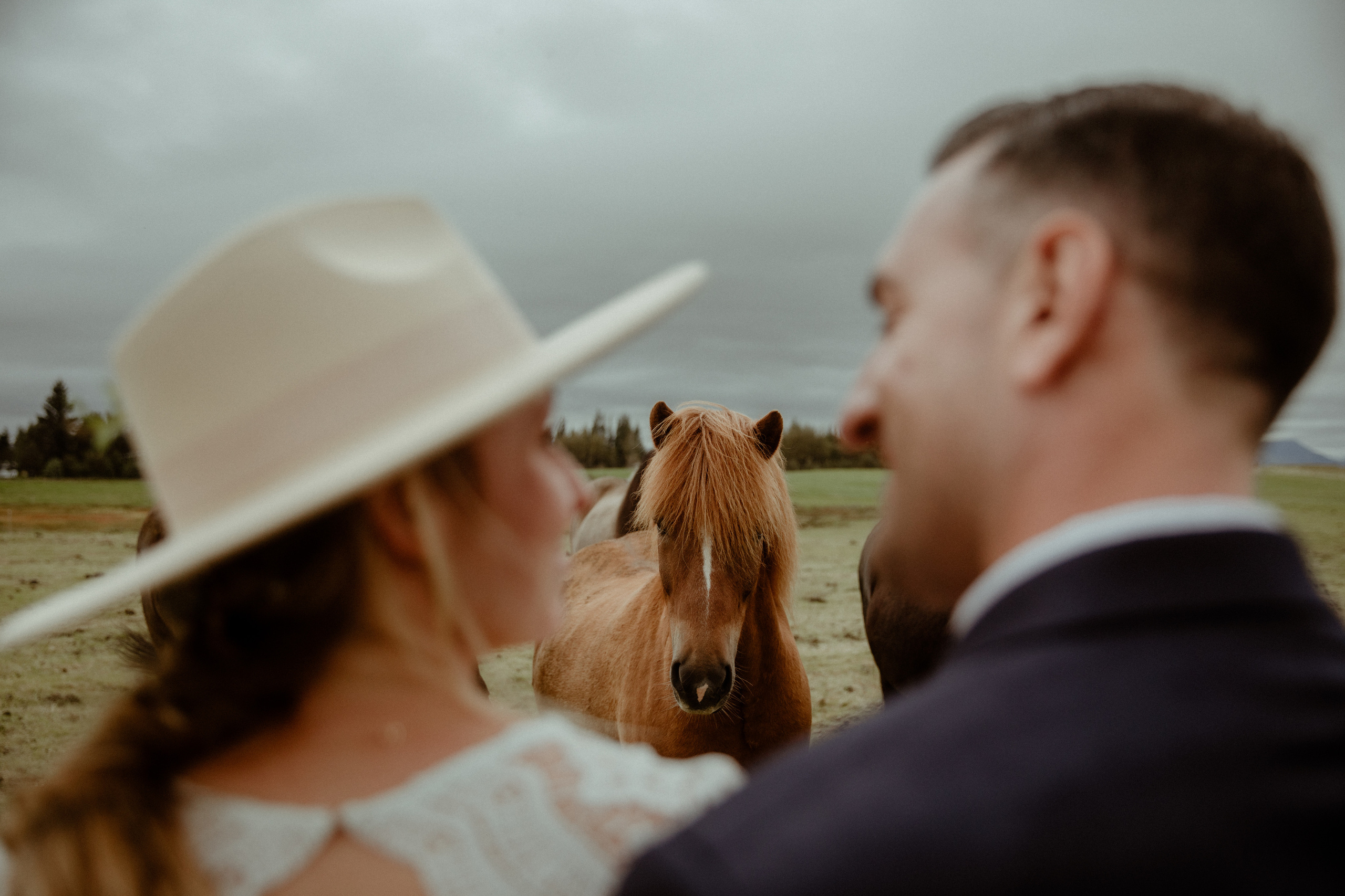 Mystical Elopement In Iceland. Iceland elopement photo and video | Nikolaichik Photo