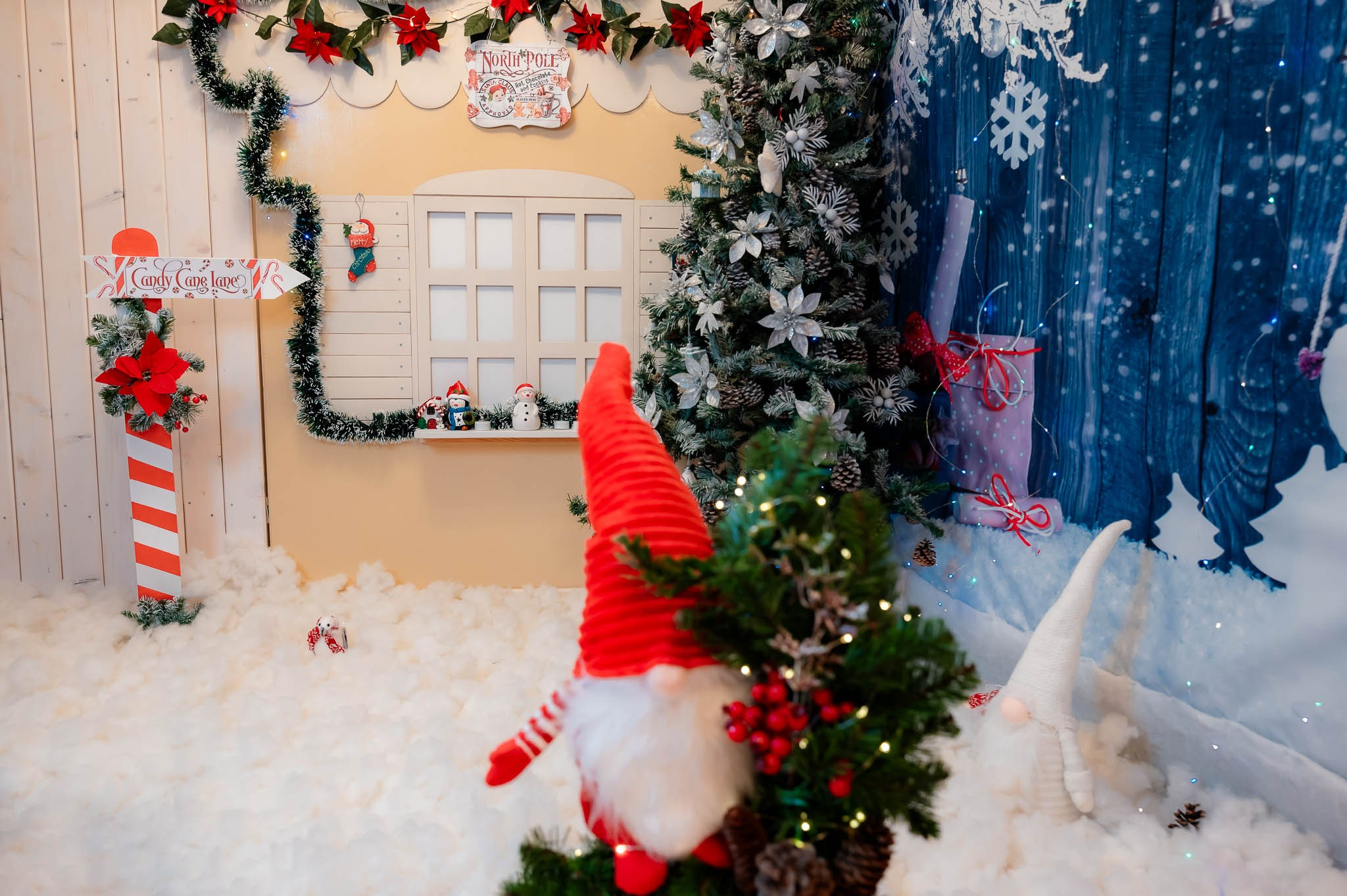 Pagina clientilor - Sophyanphoto