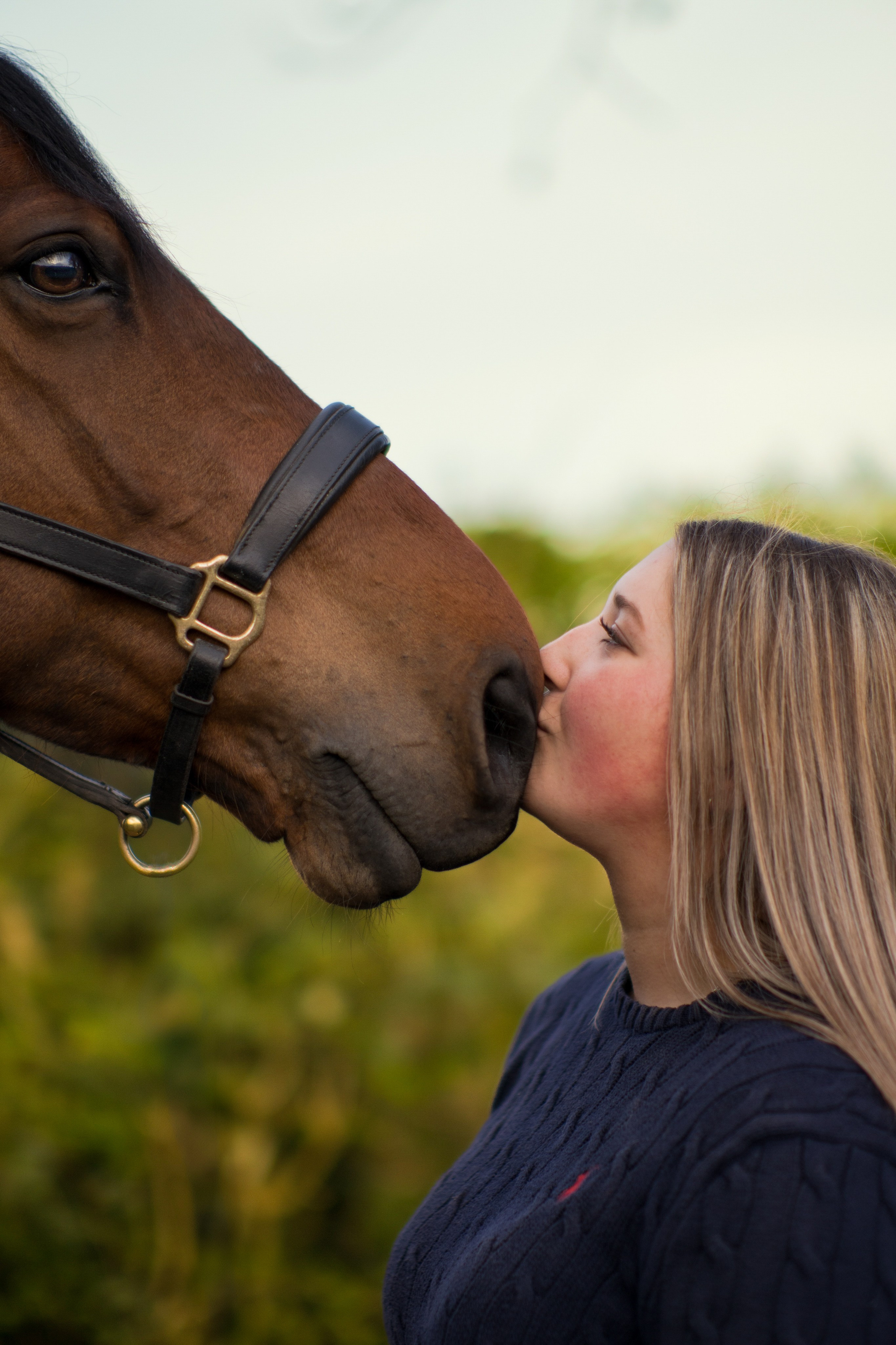 Beautiful horse posing naturally during rural photoshoot in Leicestershire