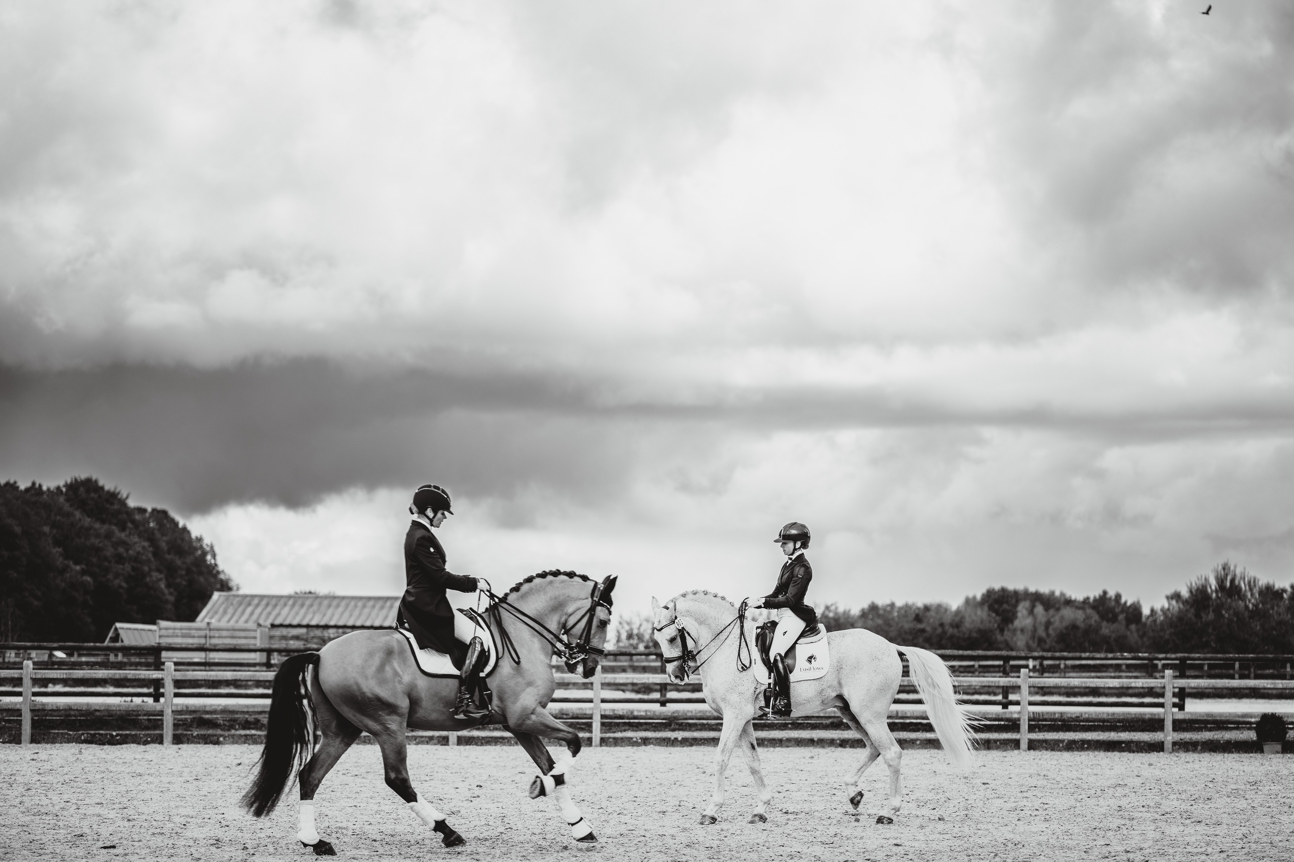 Portofoliu fotograf nuntă Belgia – Stefan Bogdan. Fotograf de nuntă Belgia - Stefan Bogdan | Fotograf roman