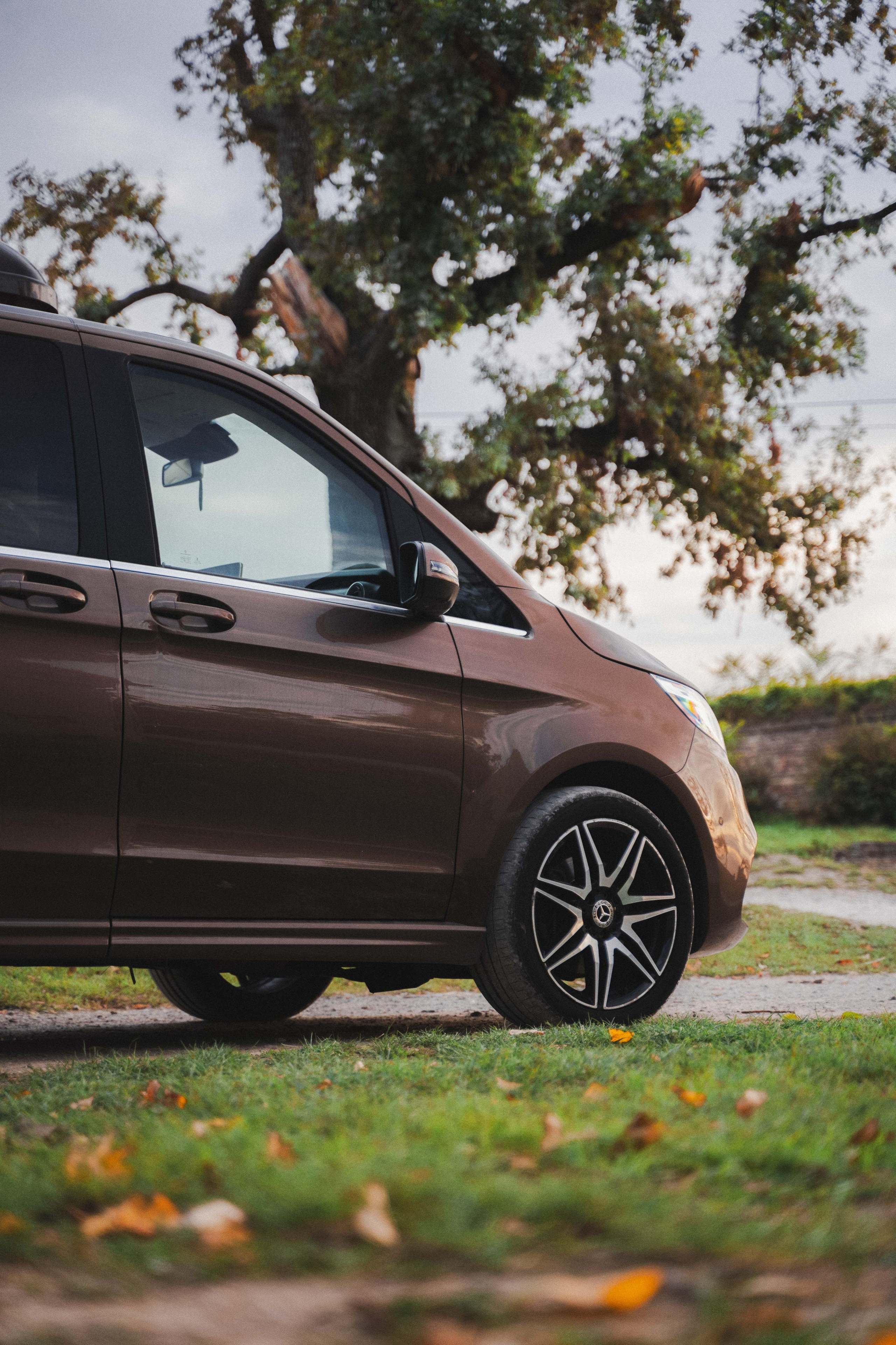 V class. Zhukov studio