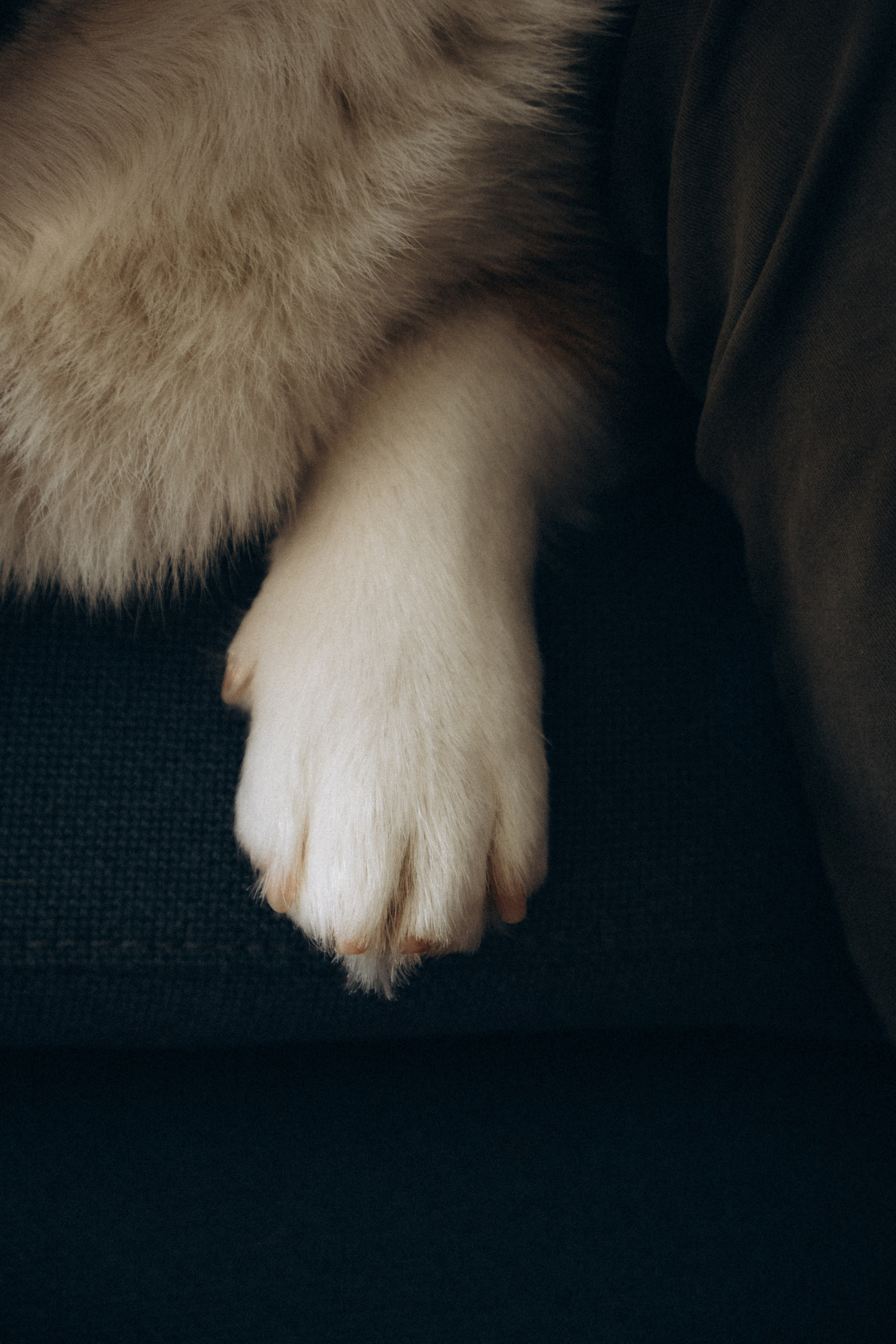 Kirill Inga Lea & Methodius. Фотографы Минск и мир