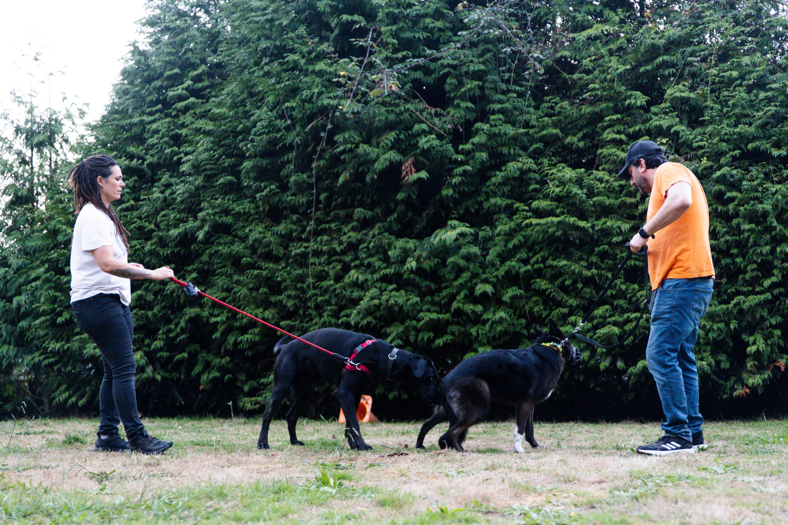 Sesiones fotográficas a mascotas. RabelByCris Fotógrafa en Coruña de Eventos, sesiones, mascotas