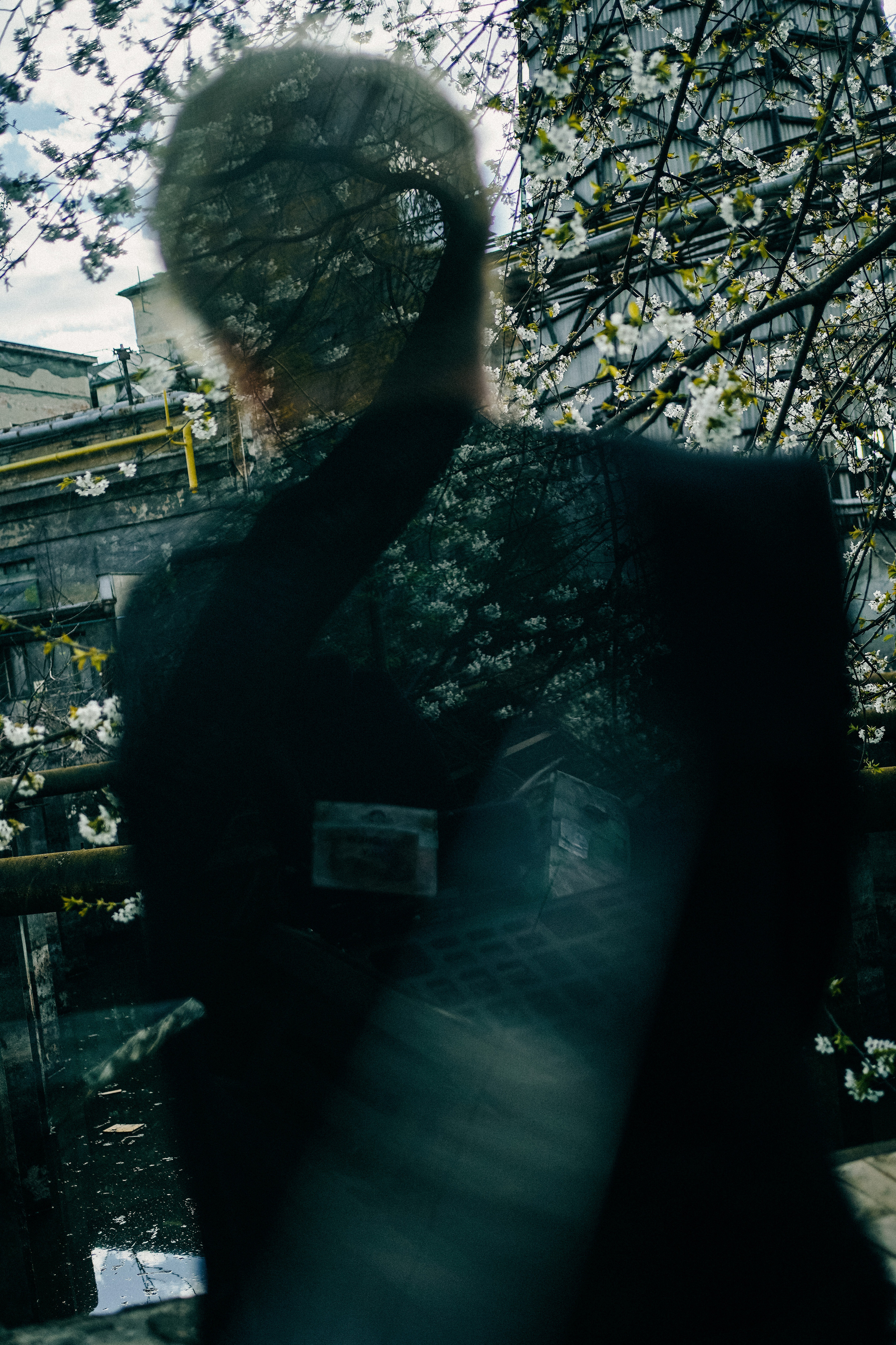 Roman. Julia Pelikánová | Portrait and content photographer in Prague