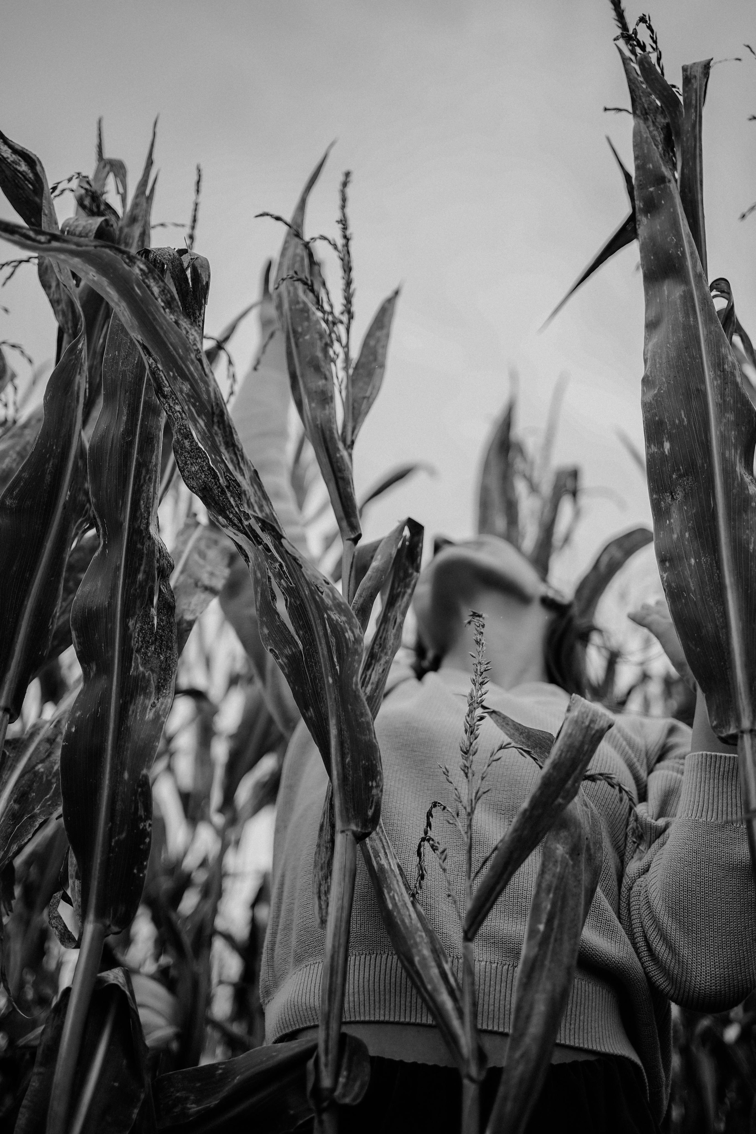 “In tall grass”. Editorial for https://preri.com/. Julia Pelikánová | Portrait and content photographer in Prague