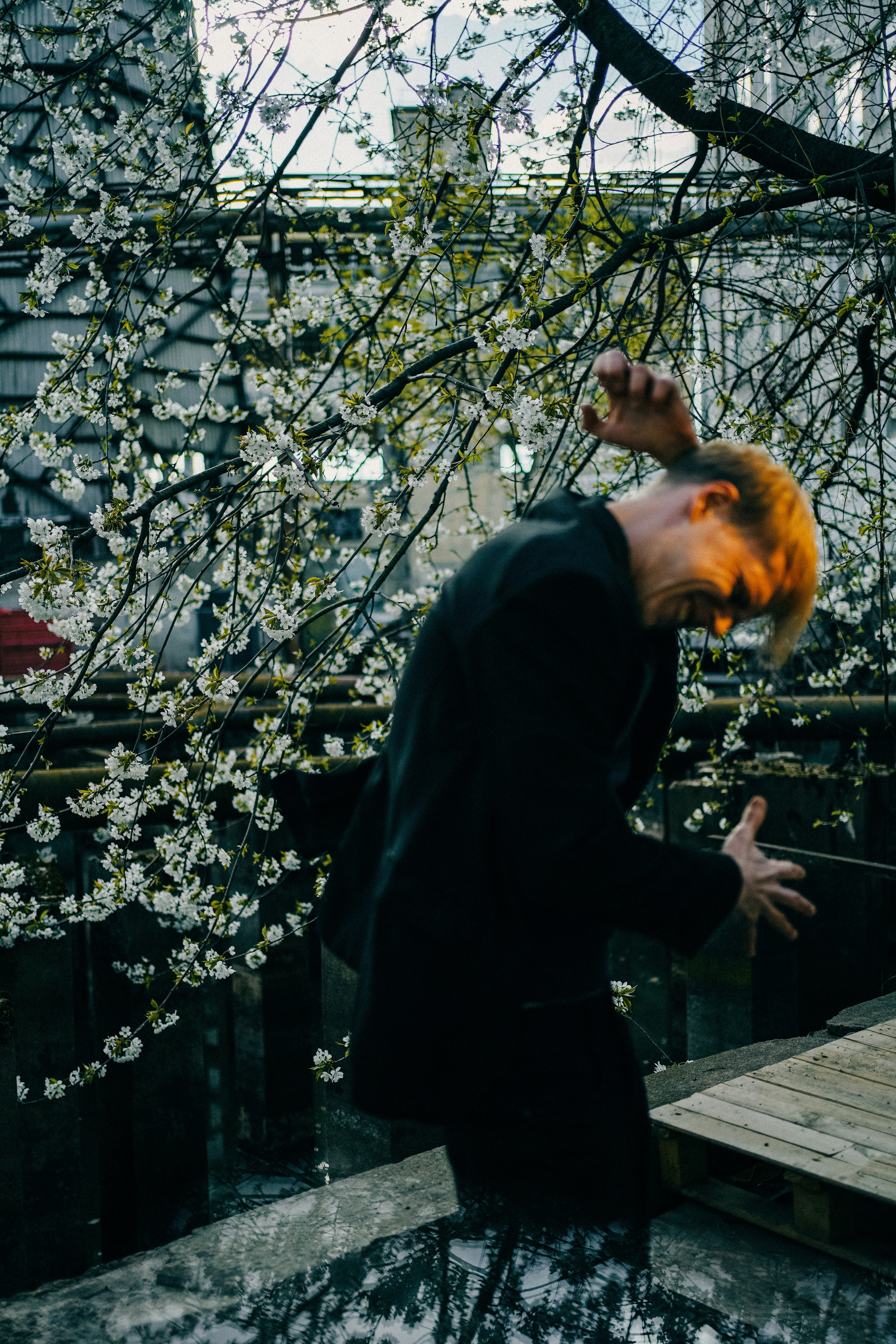 Roman. Julia Pelikánová | Portrait and content photographer in Prague