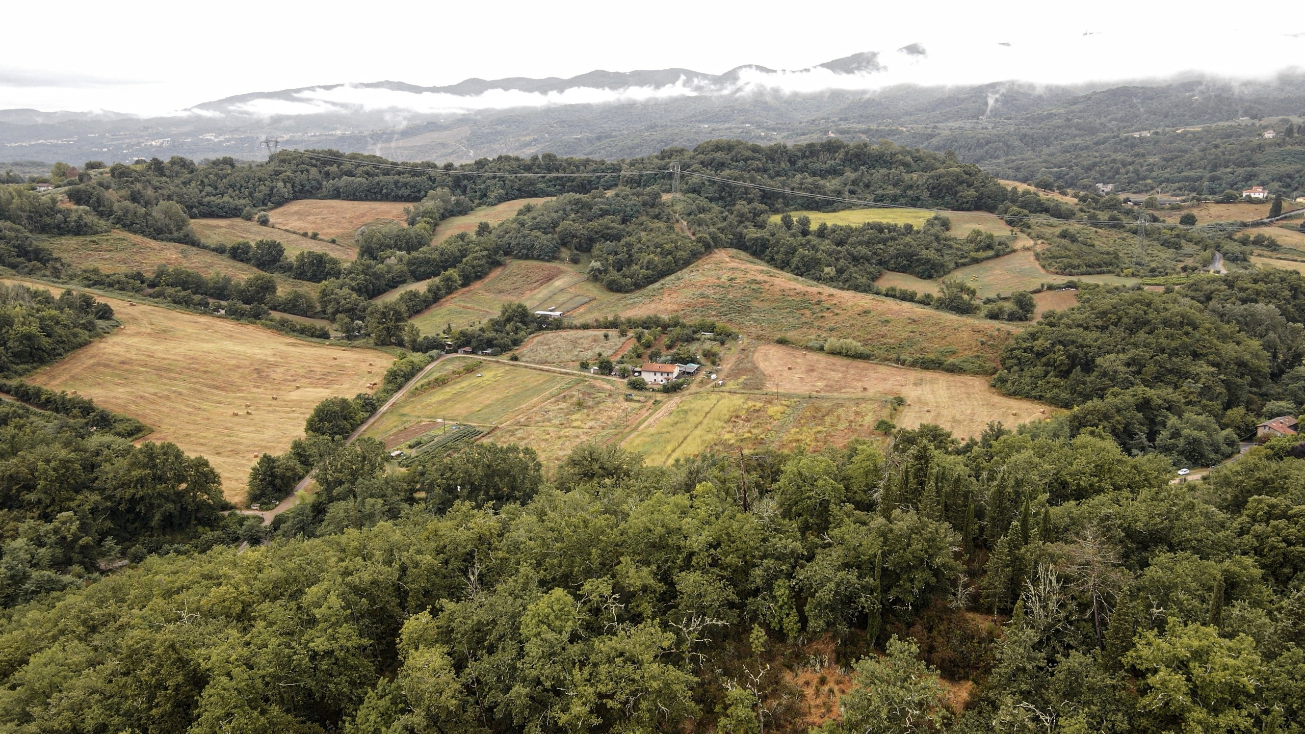 Marina e Alessio Firenze. Photographer in Rome. Eugenio Photographer in Rome Photography in Rome