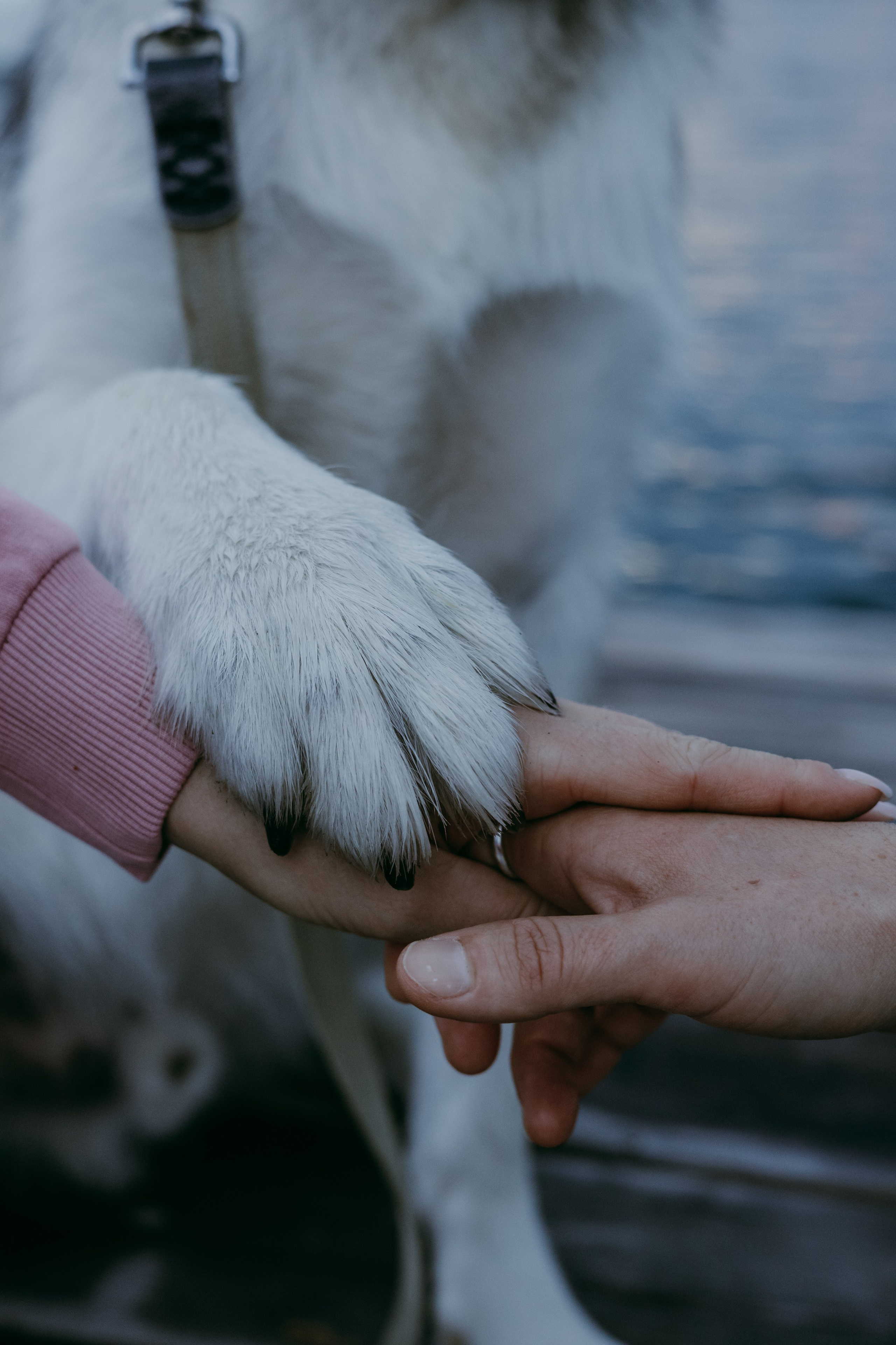 Oksana. Iryna Zhyvora | Photographer | Stockholm