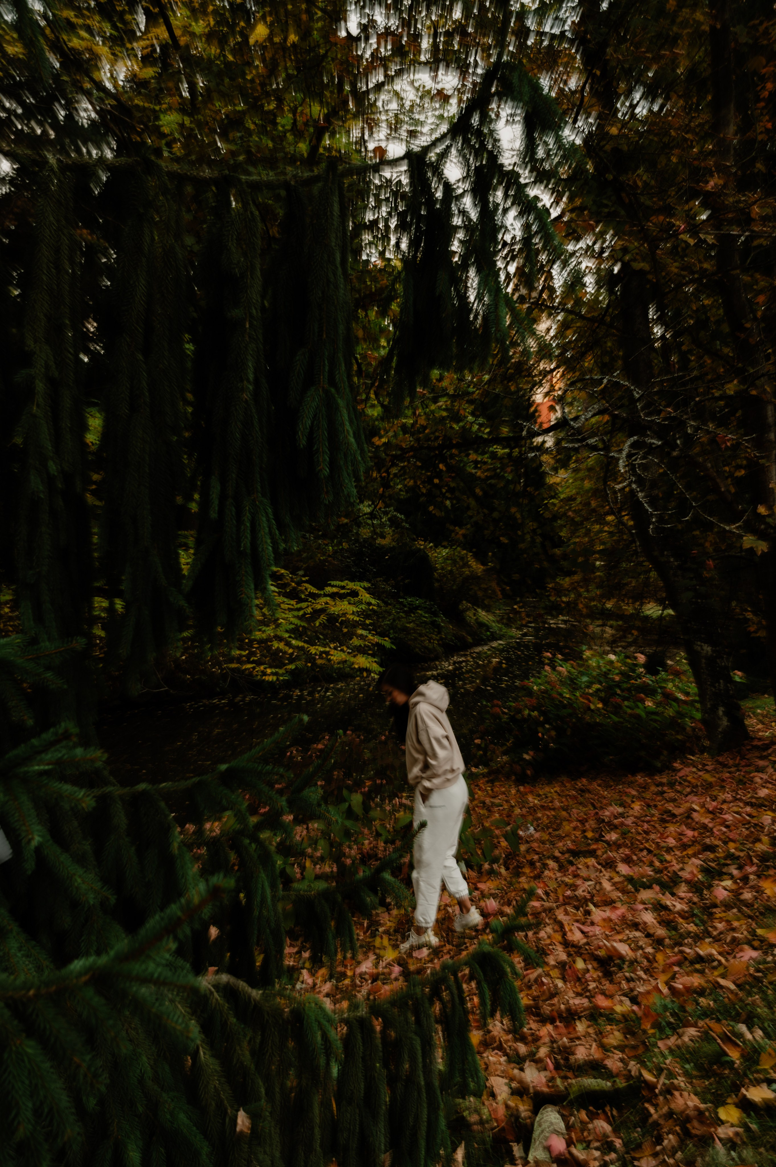 CannaXlife CBD products. ANNA-MARIA PHOTO CONTENT CREATOR — фотограф, естет, художник і візуальний експерт Instagram у Празі