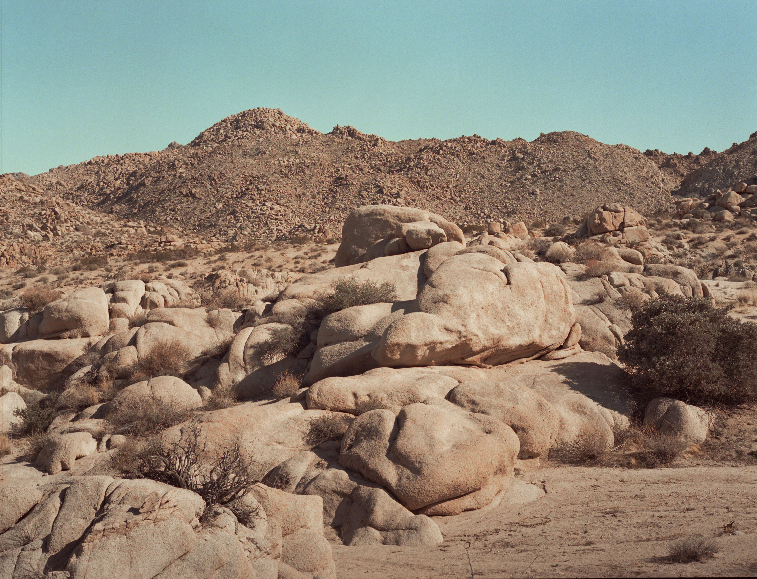 California desert photographs. Portrait Photographer in Brussels & Amsterdam — Victoria Ushkanova