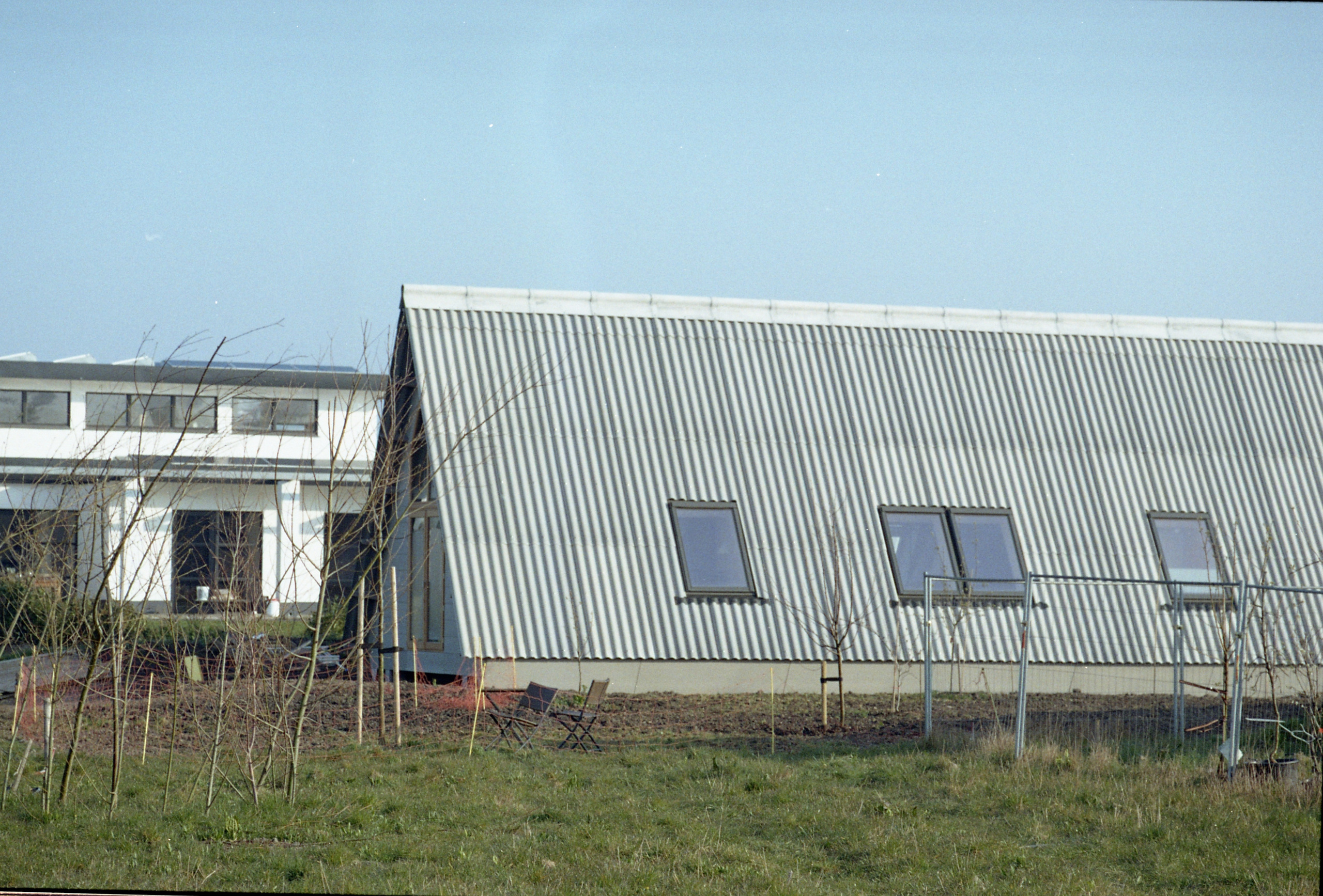 Oosterwold. Fotograaf Amsterdam - Victoria Ushkanova