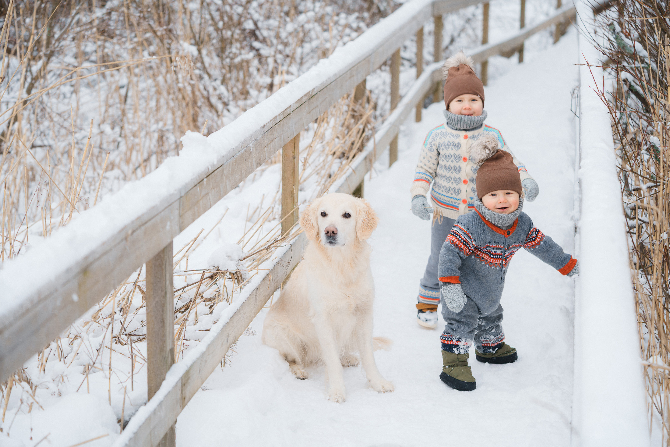Perhekuvaus Espoon Laajalahden rannalla