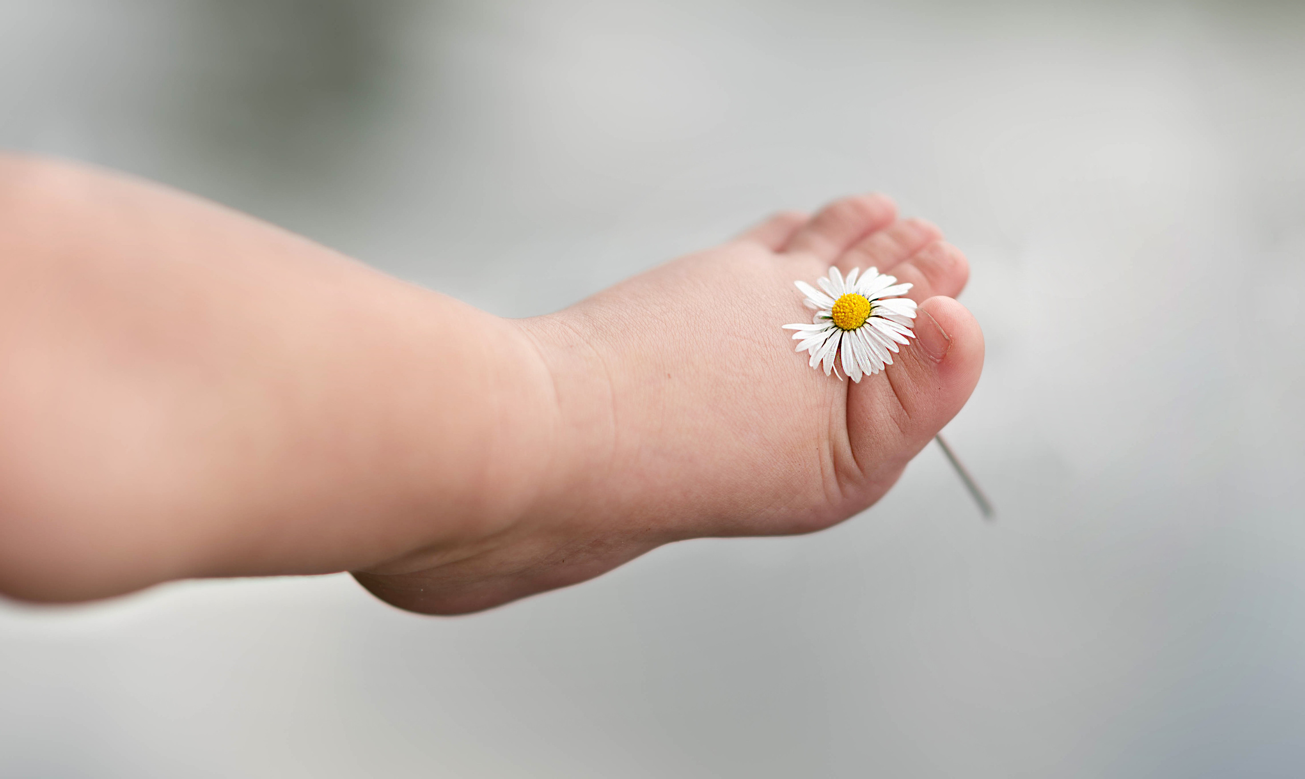 Baby Photoshoot. Professional Photograher, Antwerpen/Belgium