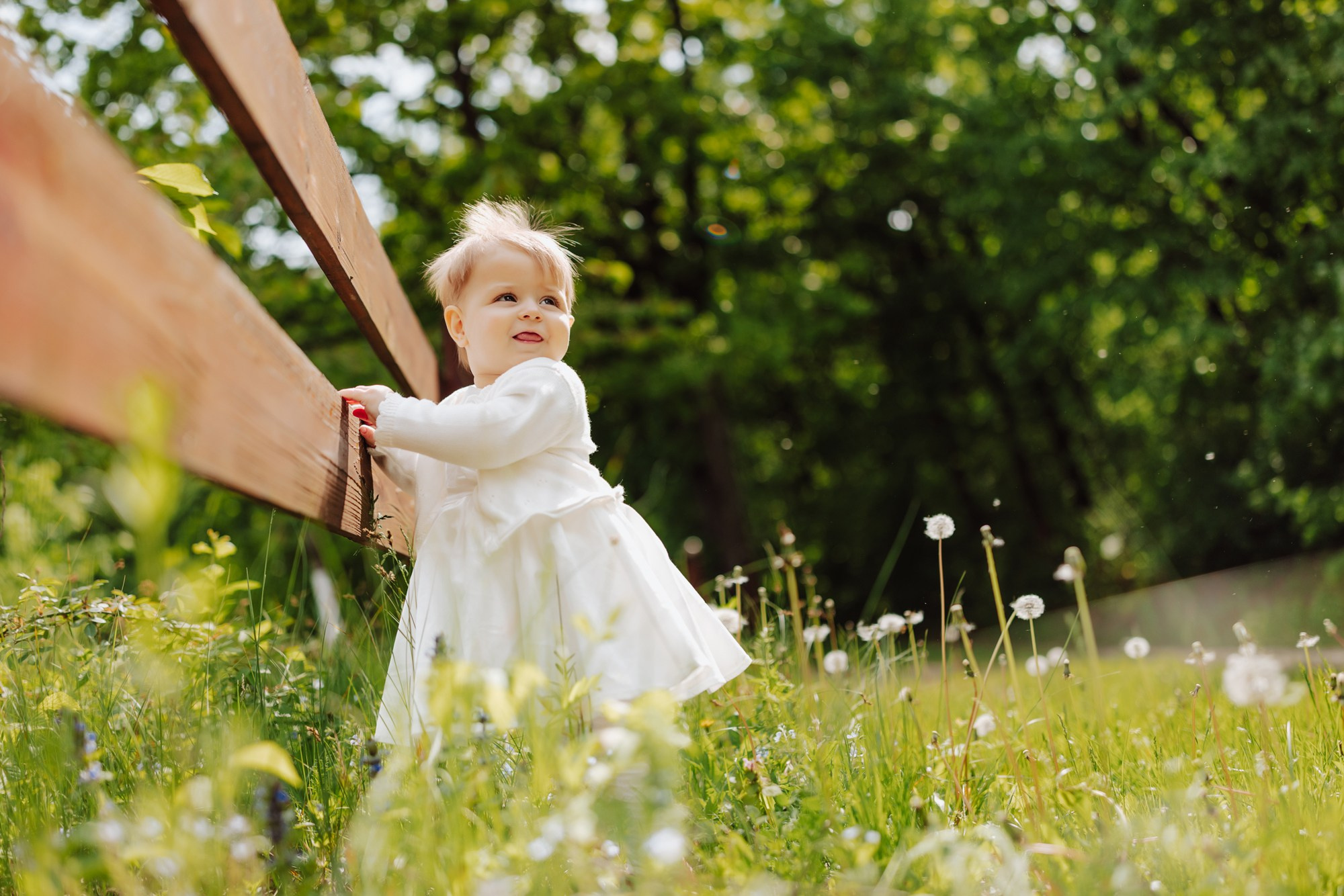 Ilinca. Fotograf și videograf de nuntă R. Moldova, Romania