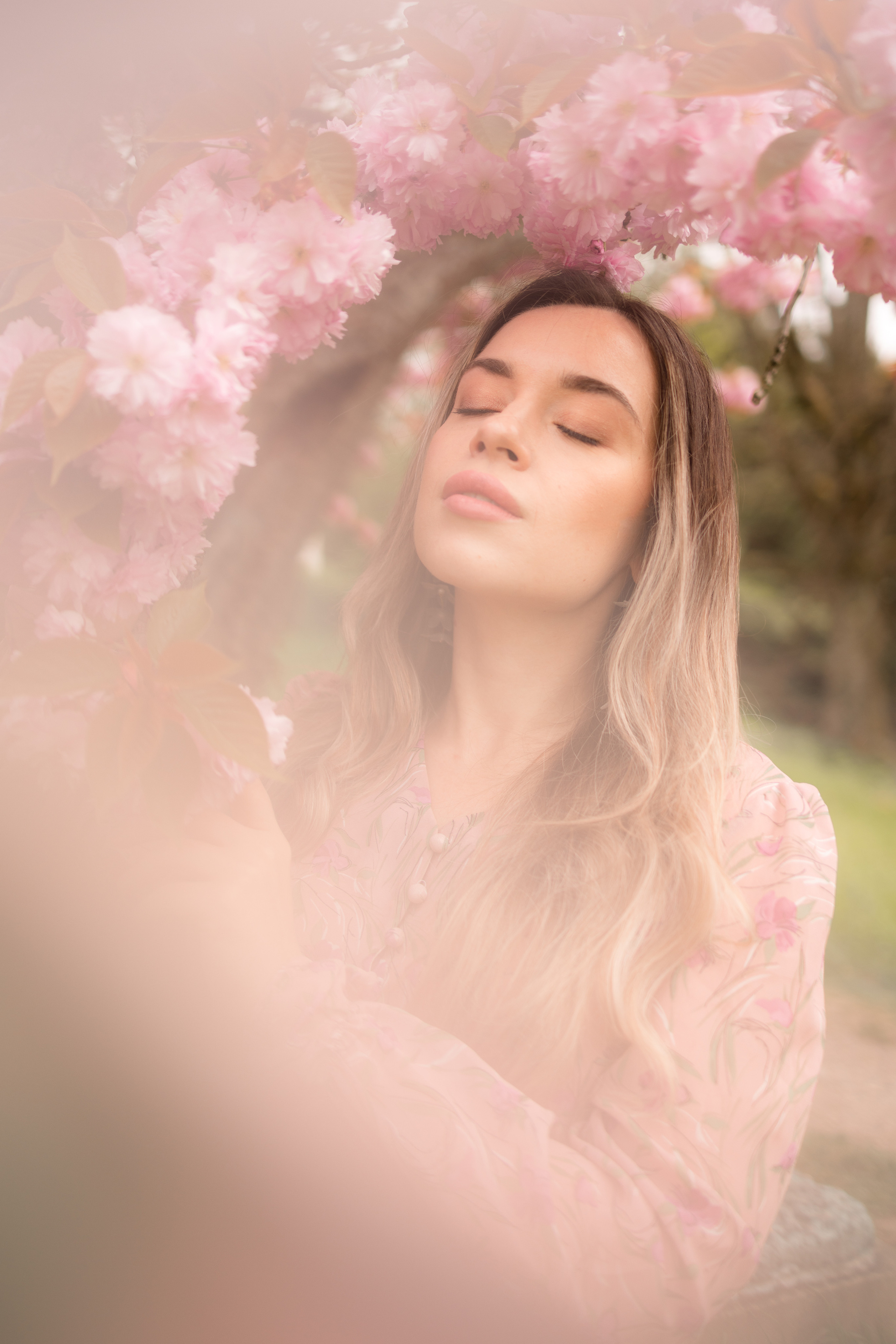 Cherry blossom. Family photographer Zurich & Switzerland Daria Moore