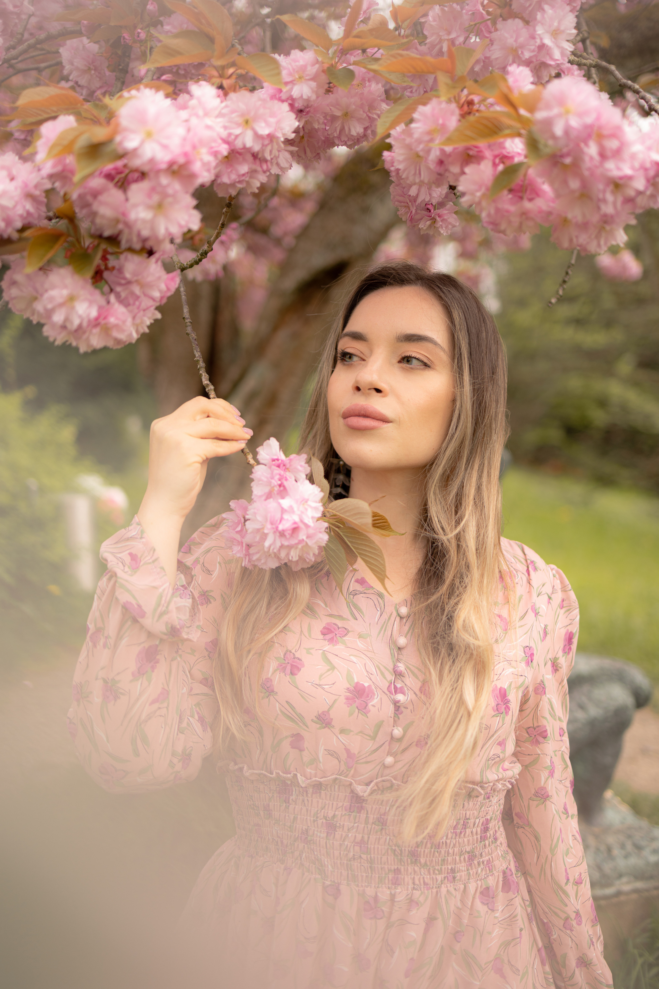 Cherry blossom. Family photographer Zurich & Switzerland Daria Moore