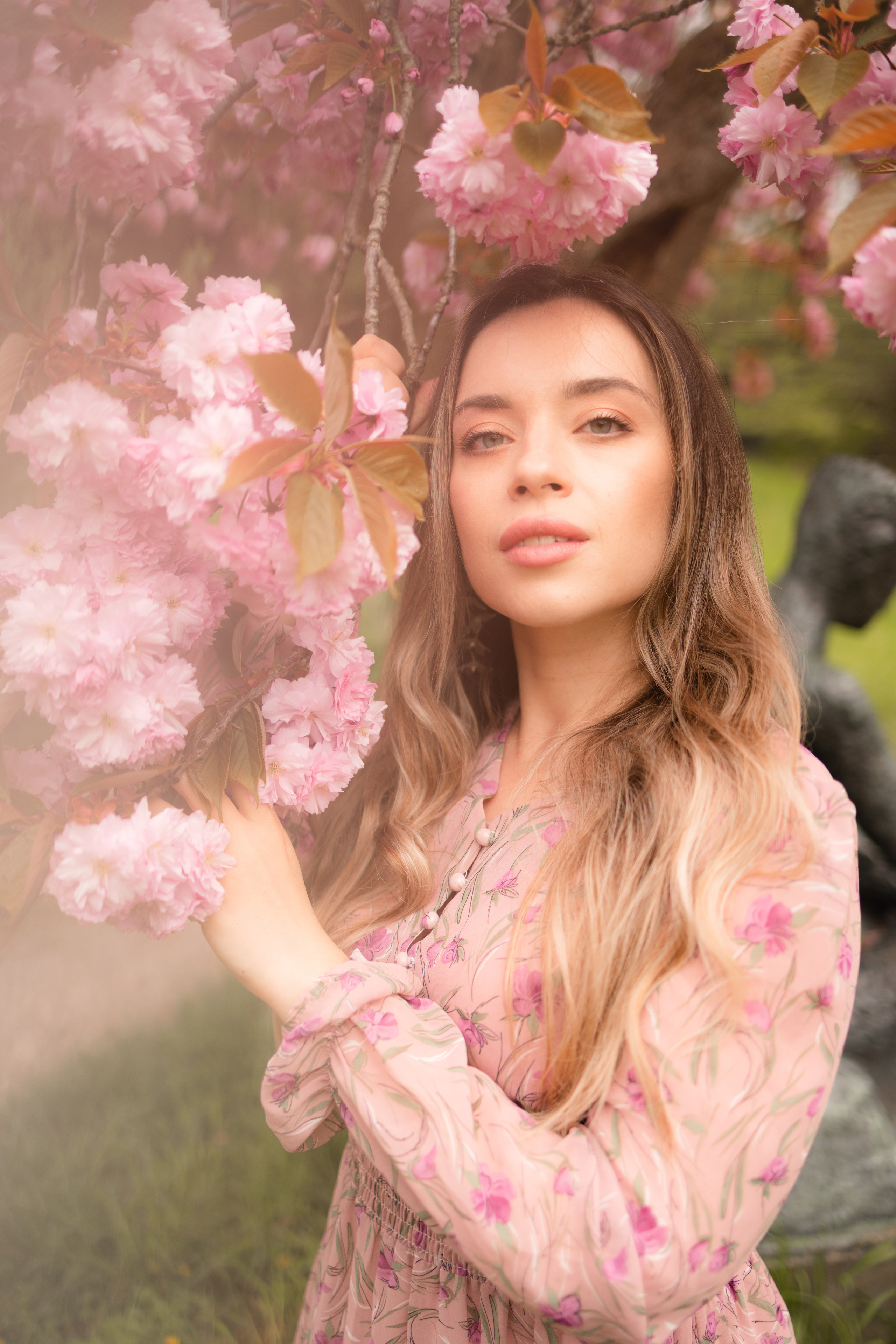 Cherry blossom. Family photographer Zurich & Switzerland Daria Moore