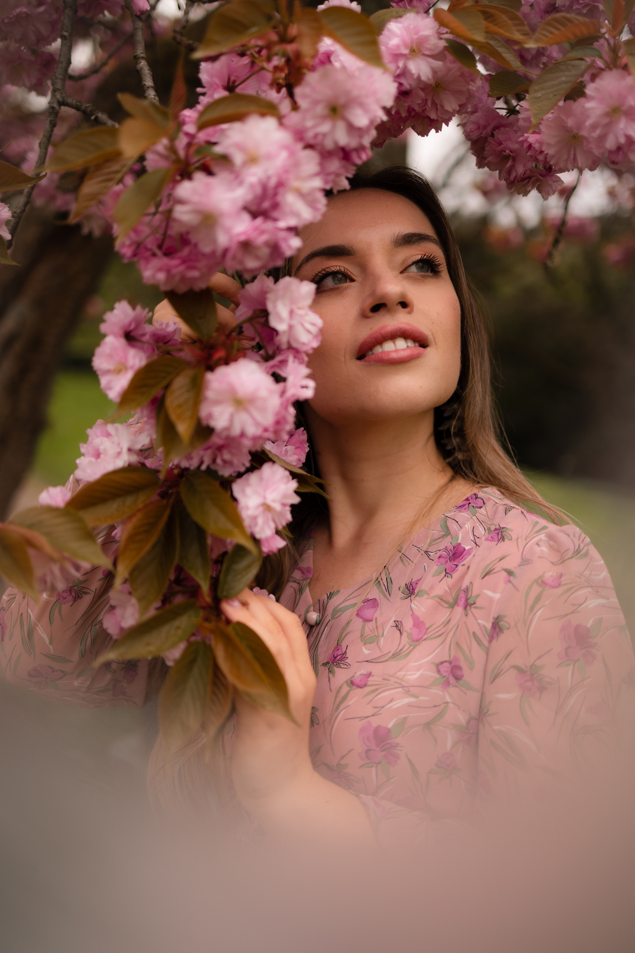 Cherry blossom. Family photographer Zurich & Switzerland Daria Moore