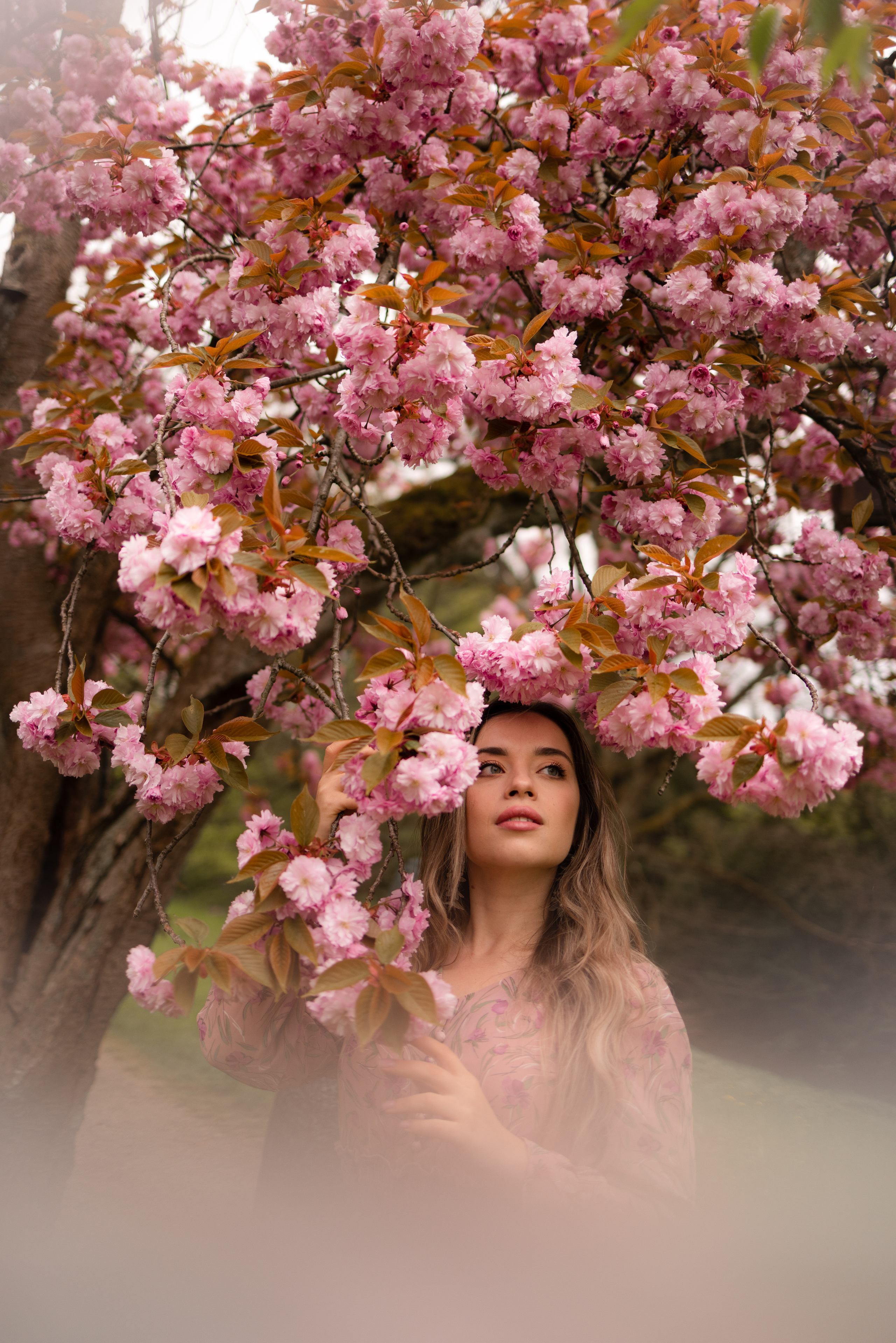 Cherry blossom. Family photographer Zurich & Switzerland Daria Moore