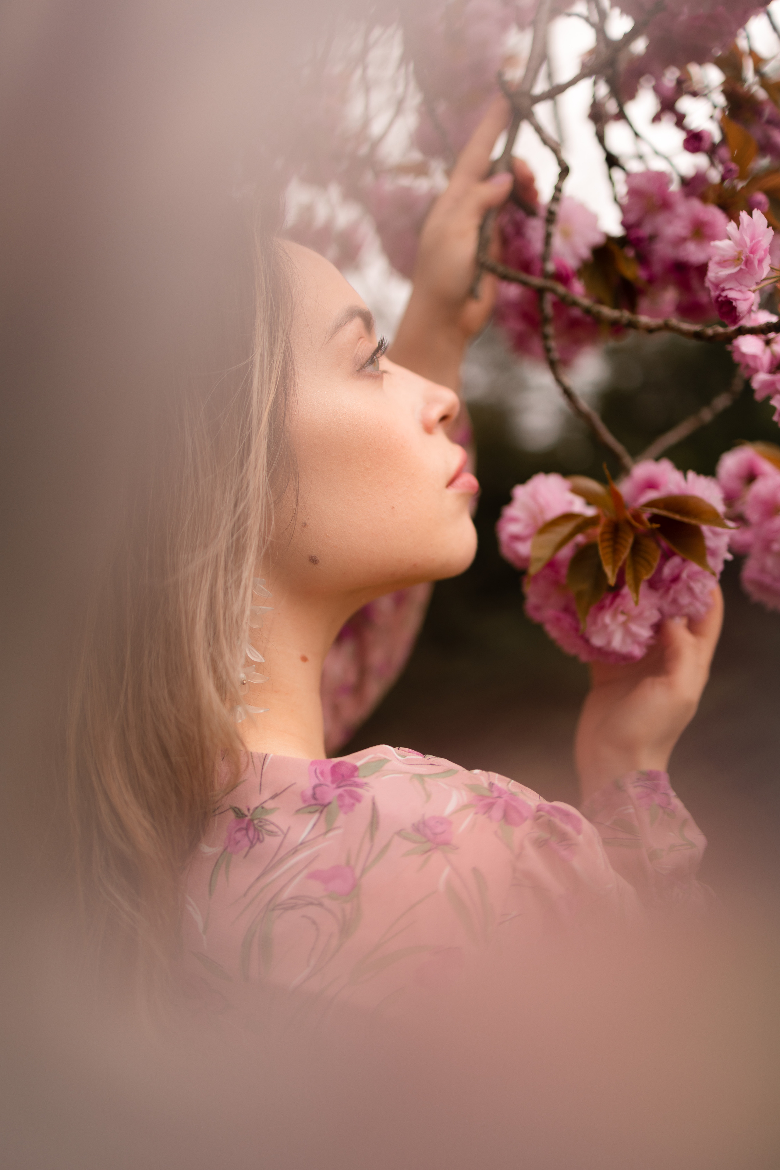 Cherry blossom. Family photographer Zurich & Switzerland Daria Moore