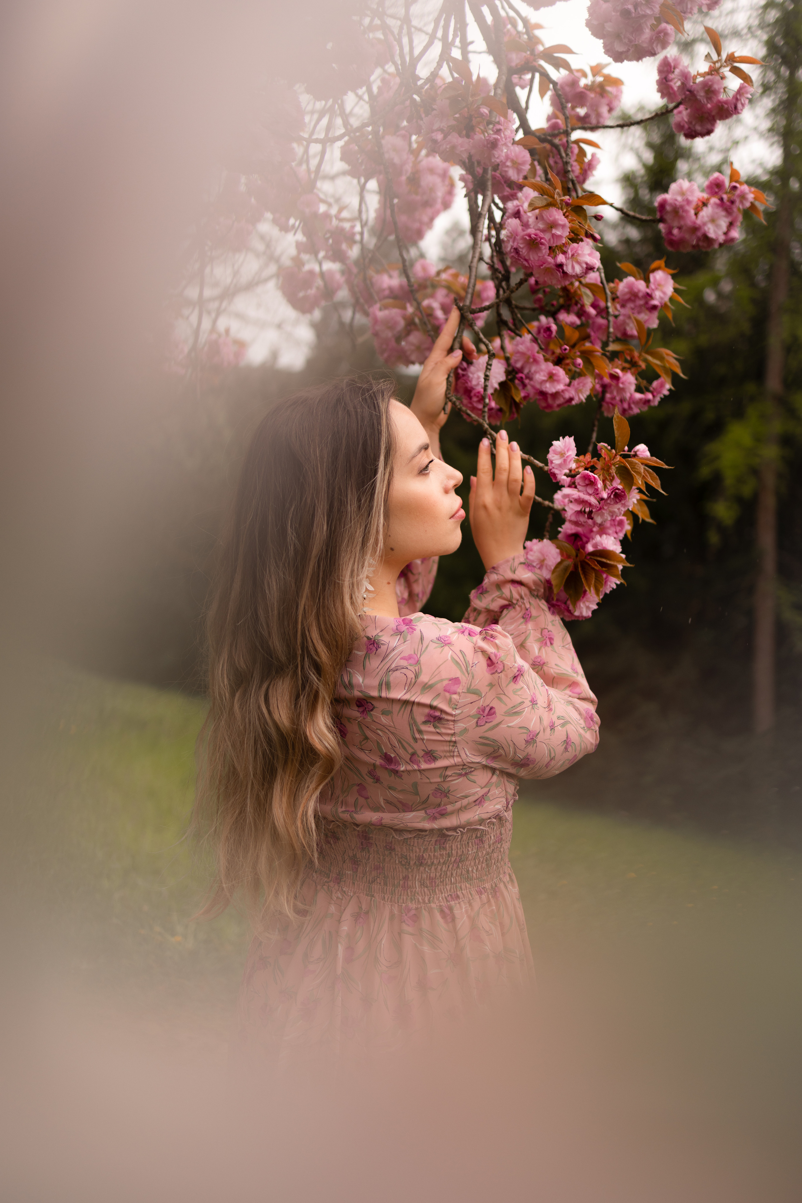 Cherry blossom. Family photographer Zurich & Switzerland Daria Moore