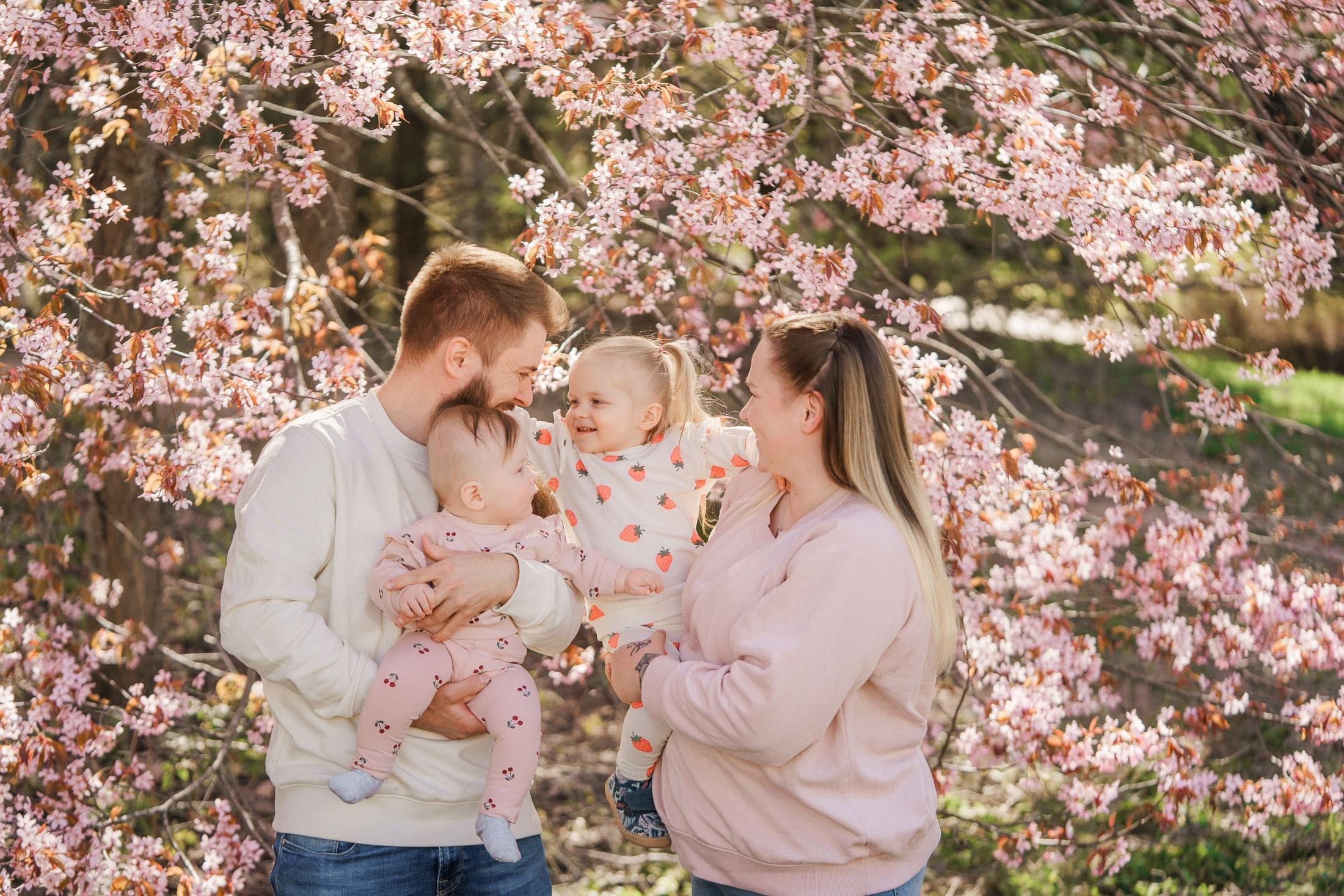 Perhekuvaus kirsikkapuistossa Helsingissä