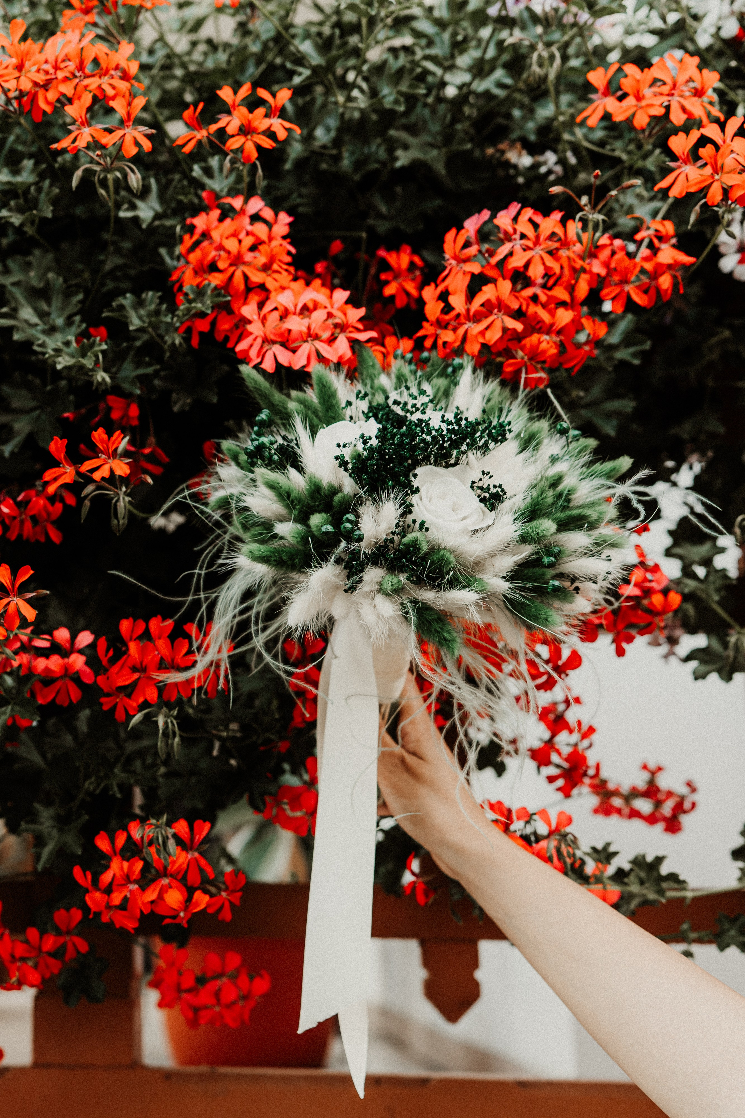 Alina - Cosmin | Targu Neamt