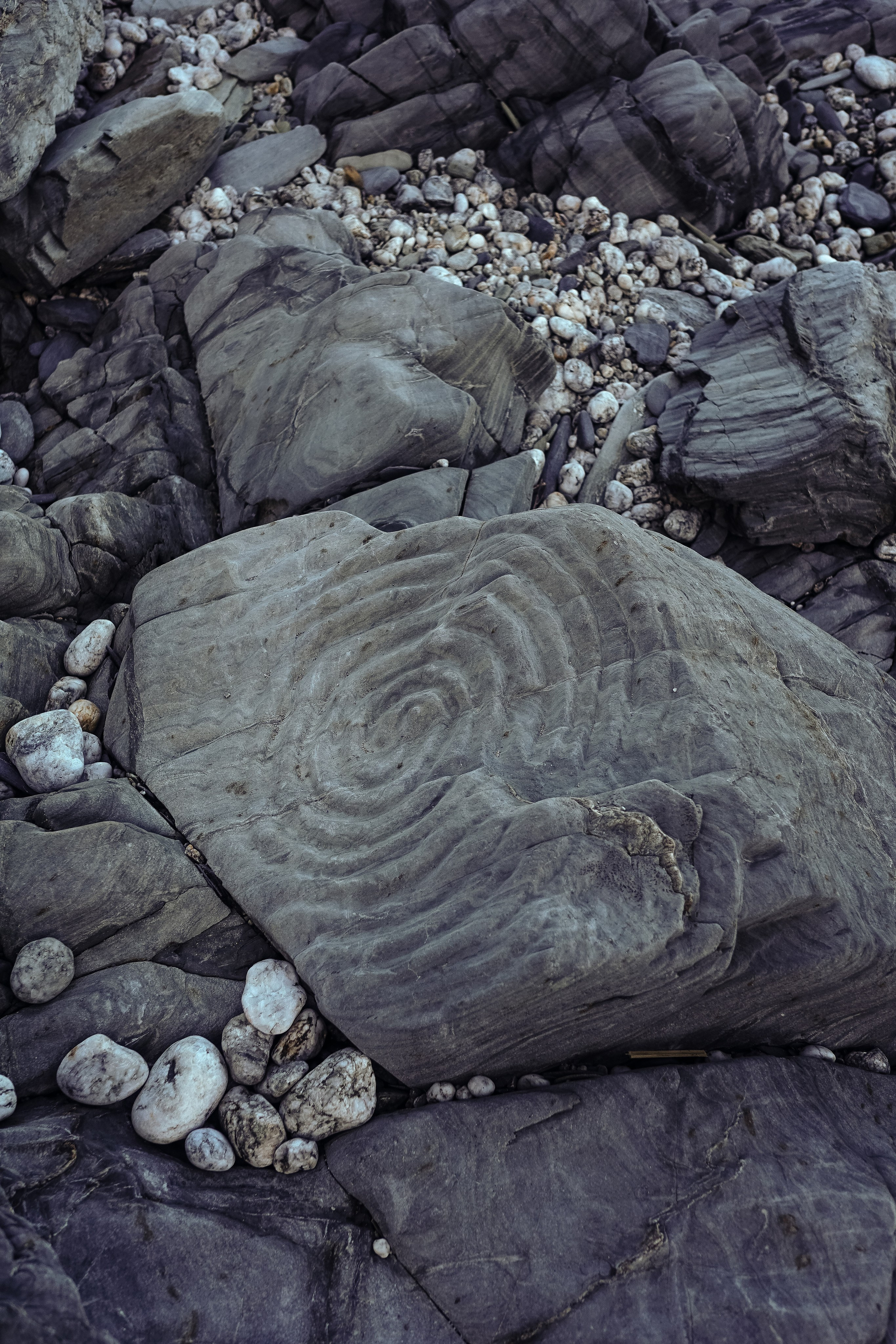 Massif du Cap-Sicié: plages de St.Selon, Jonquet, Boeuf. Photographe à la Seyne sur Mer, Var