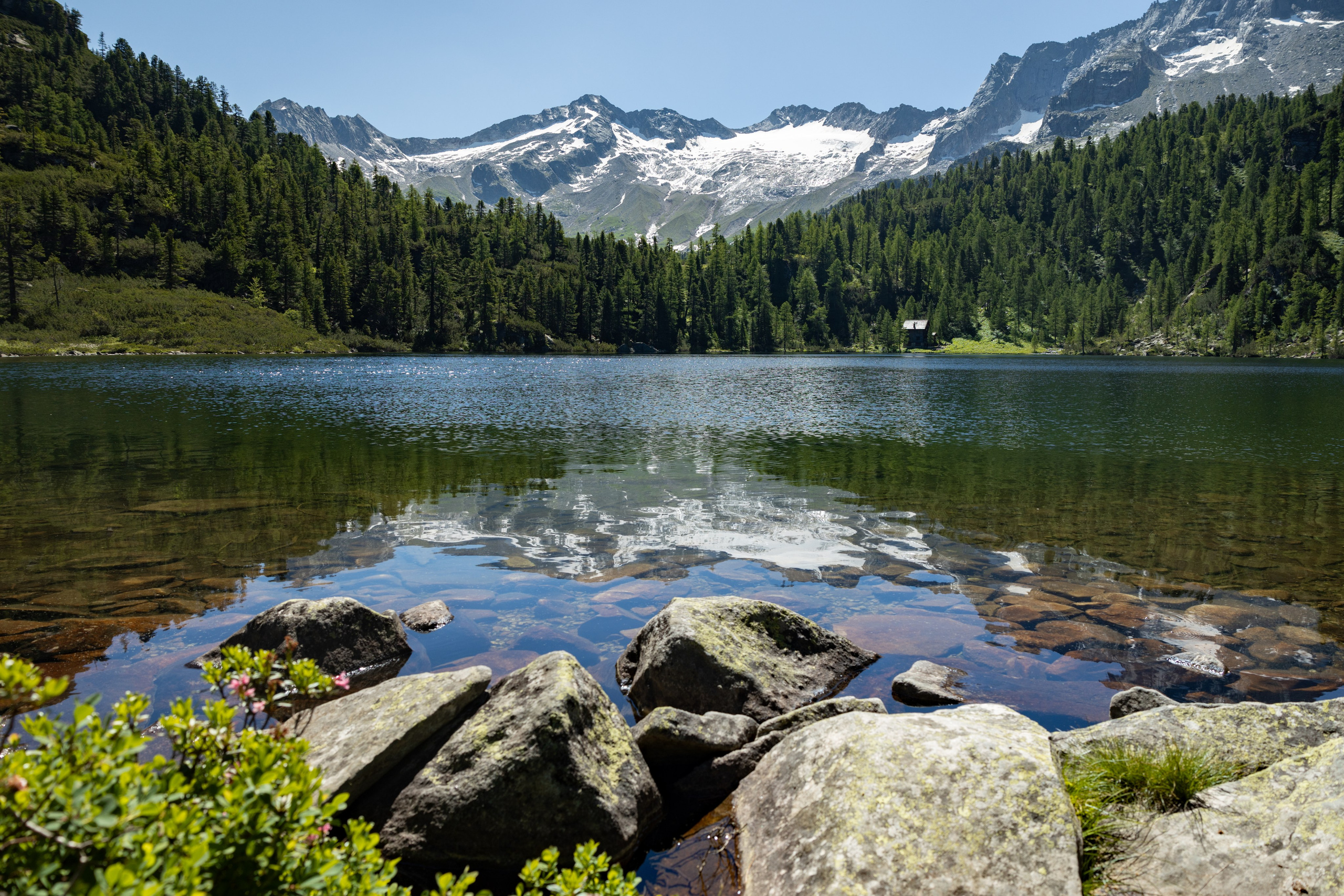 Reed See, Gastein, Österreich