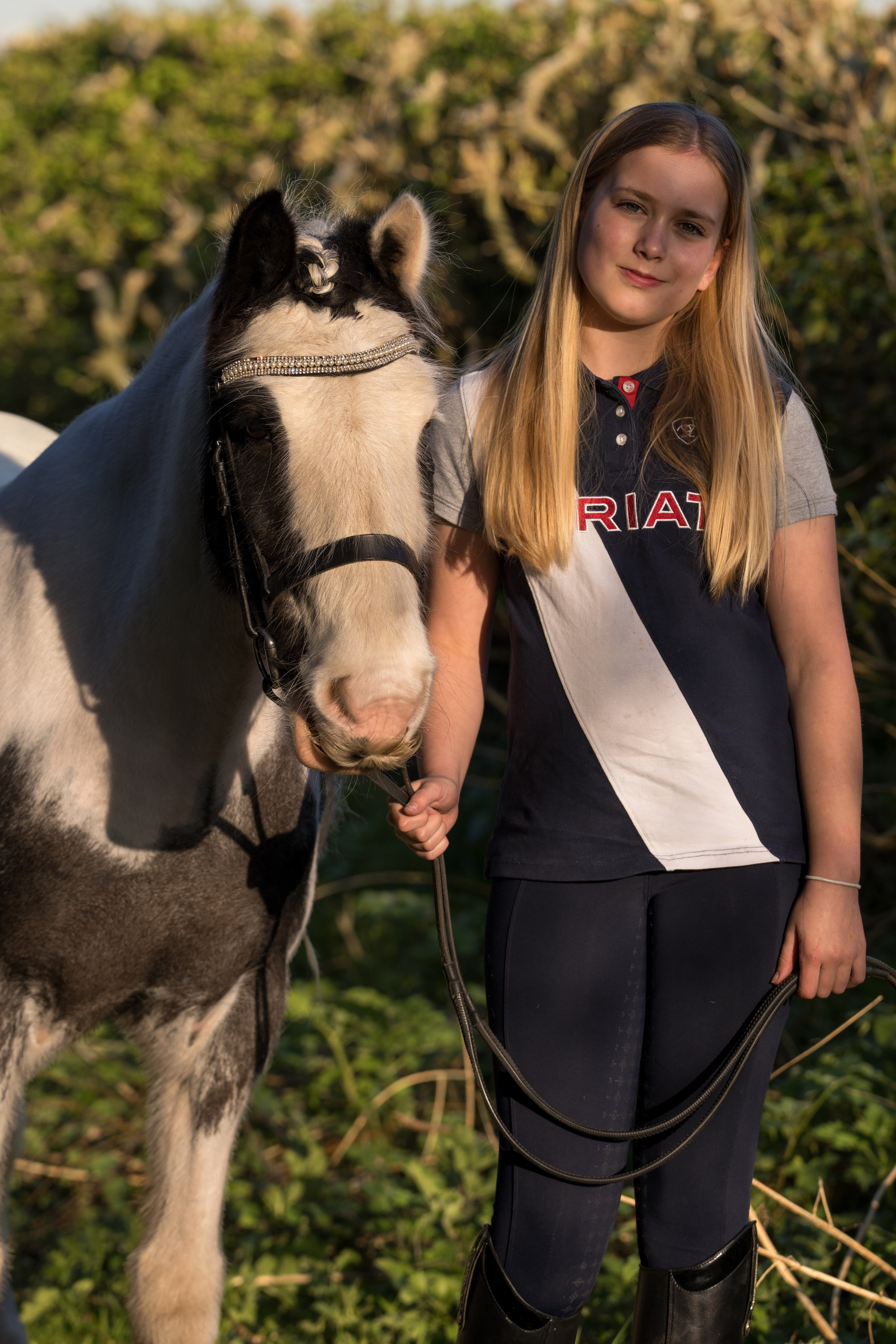 Beautiful horse posing naturally during rural photoshoot in Leicestershire