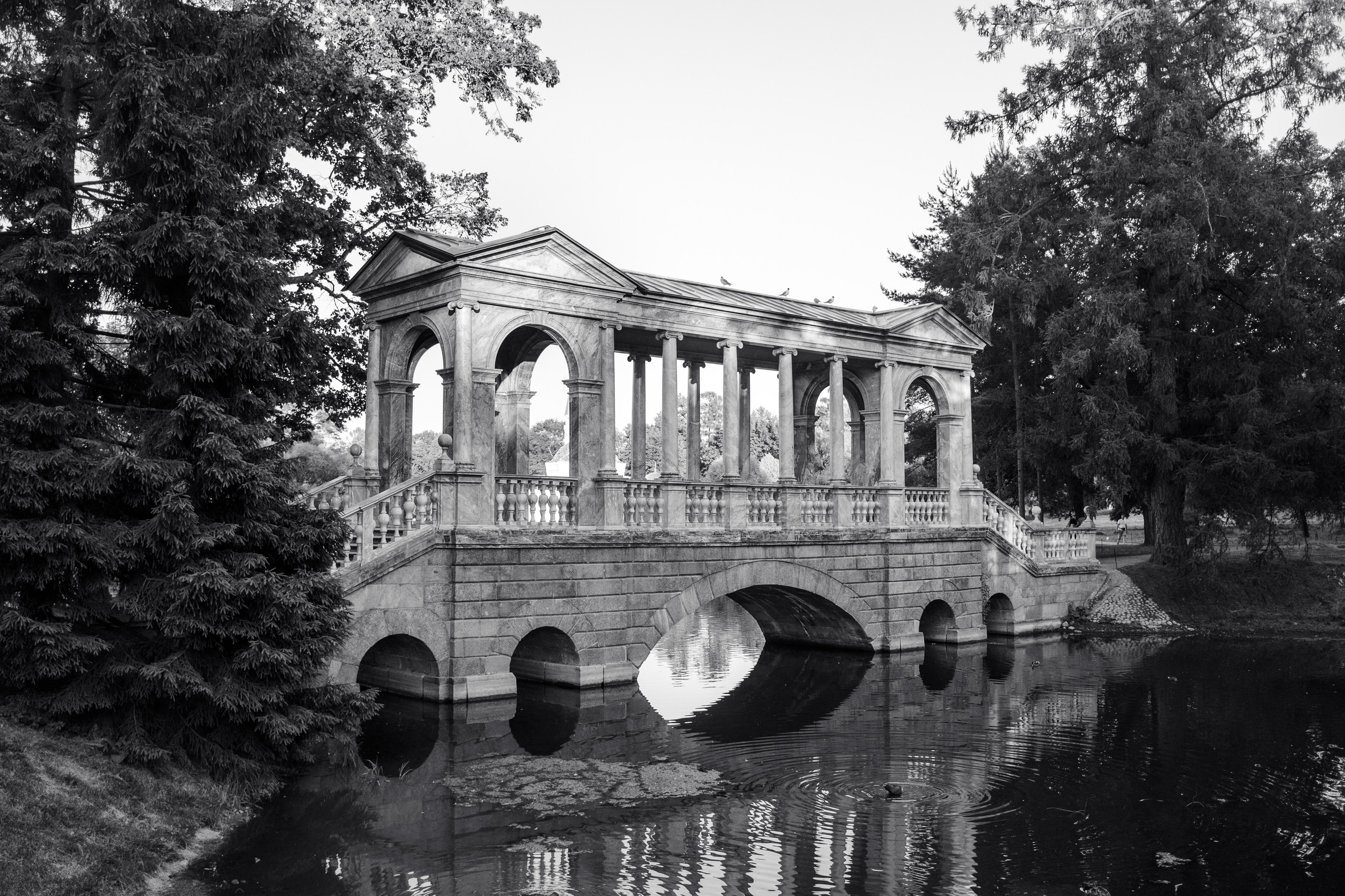 St Petersburg. Fotografinja in videografinja Mariia Bortiakova iz Slovenije: fotografiranje dogodkov, portretov in snemanje videov po vsej Sloveniji