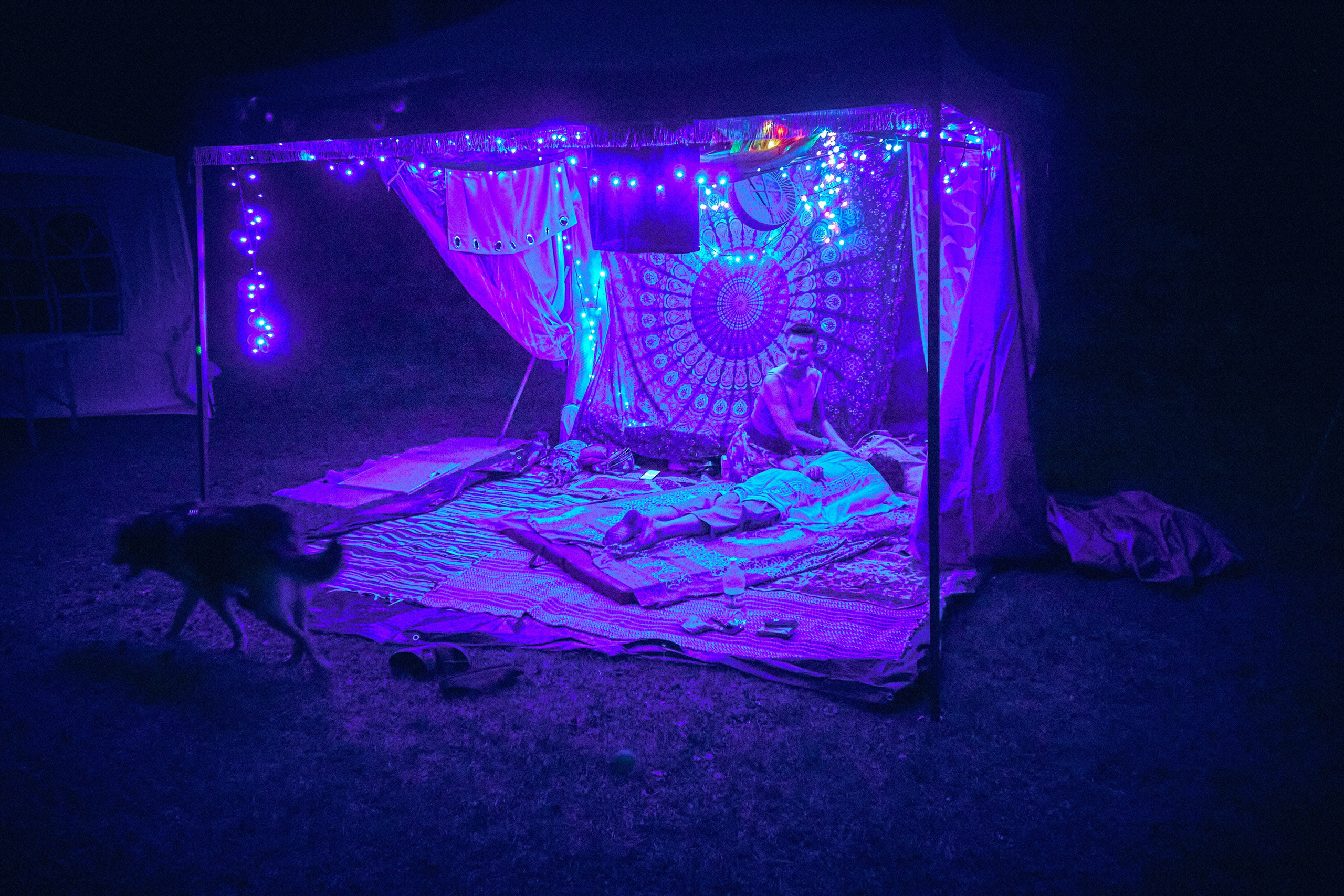 Organic Festival 2021 - креативный репортаж - Фотограф Андрей Шипилов. Андрей Шипилов — Фотография & Видеография