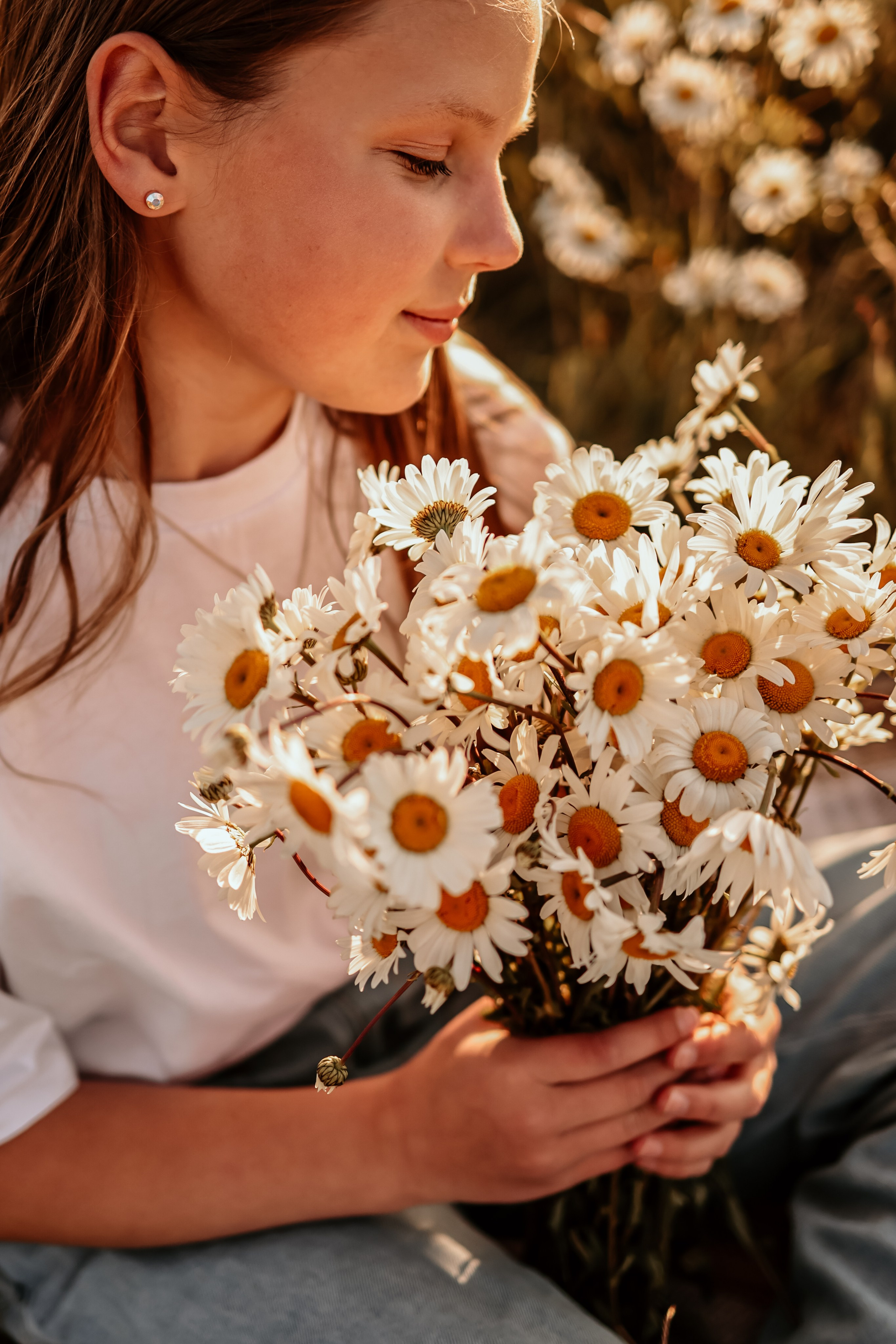 Golden field. Photographer Co Dublin, Balbriggan — Agata Maliseva