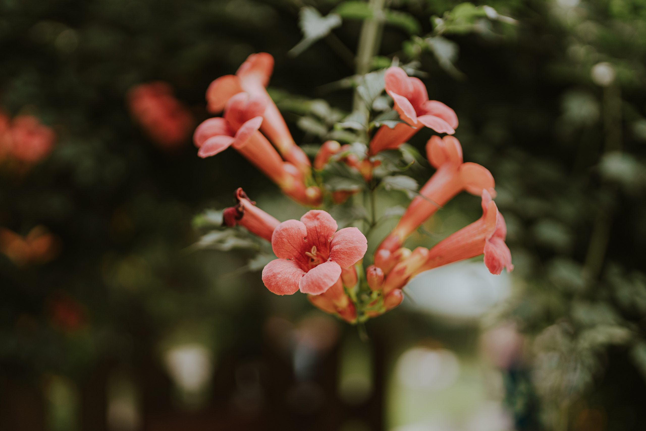 Ania&Jasiek. Karkowskafoto - fotografia miłości